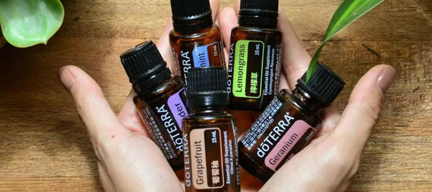 doterra2.jpg