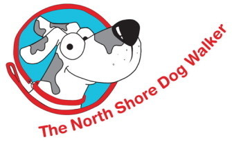 north shore dog walker.jpg