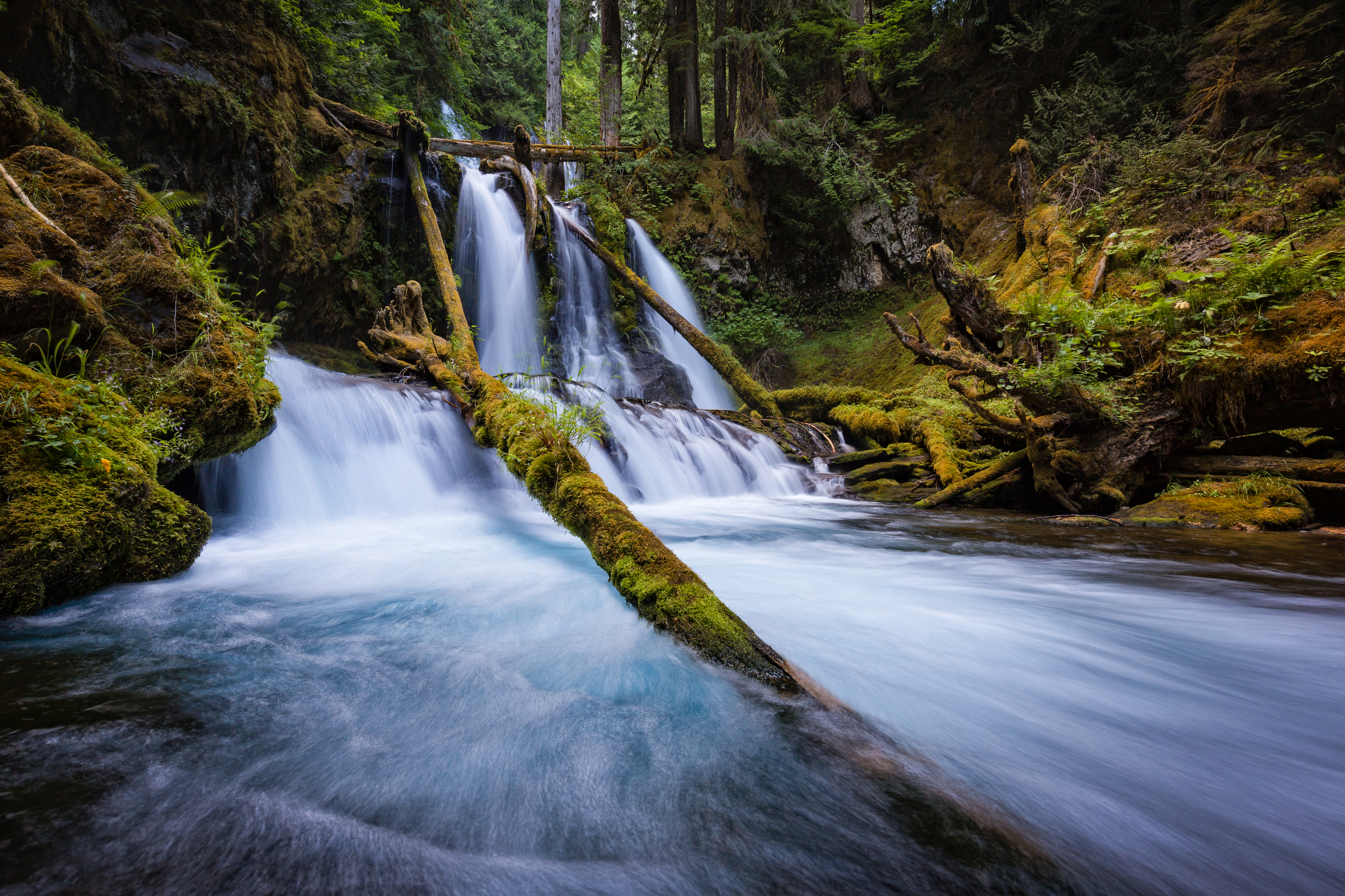 Lower Panther Creek Falls II
