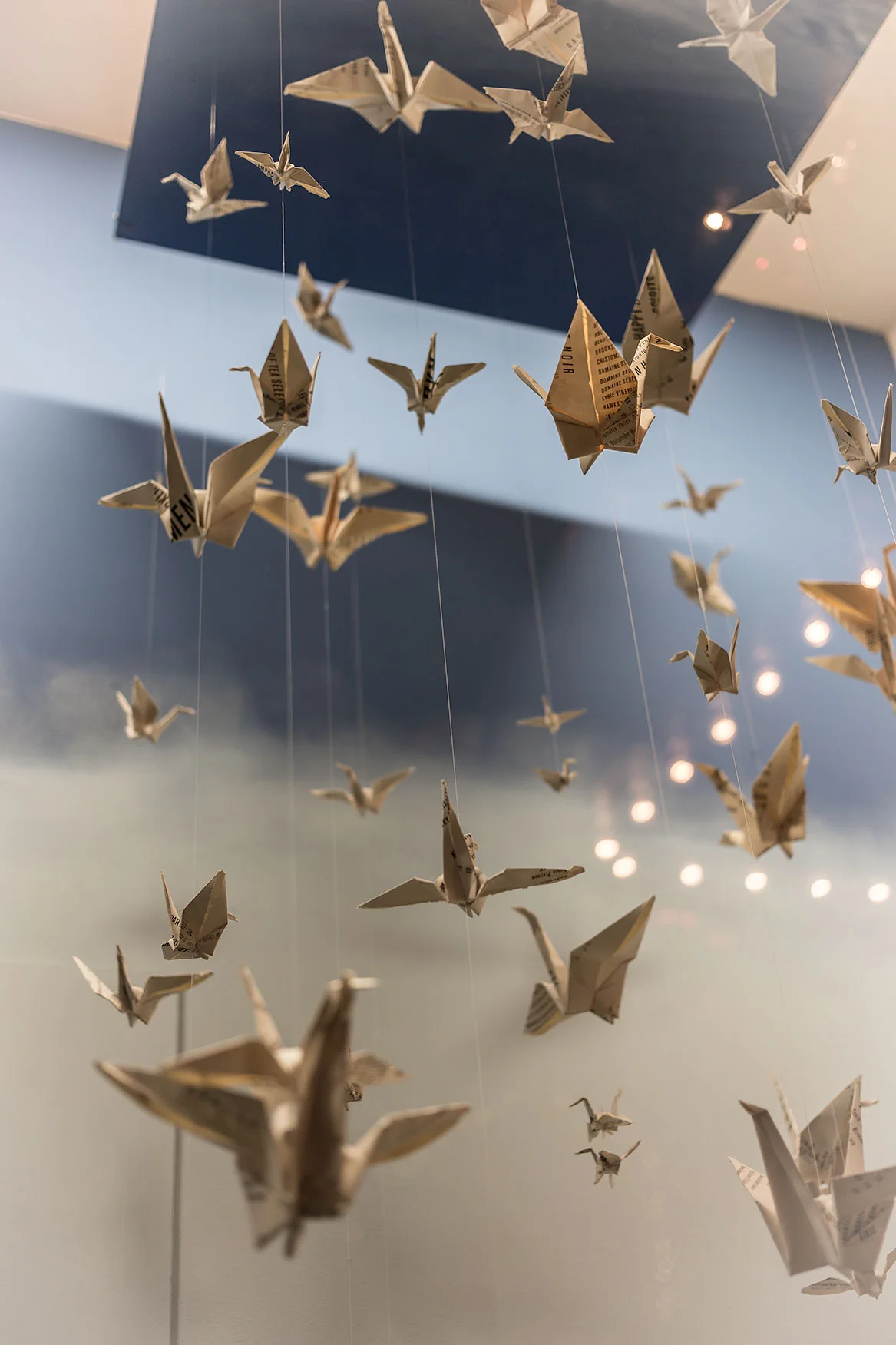 Birds in Flight