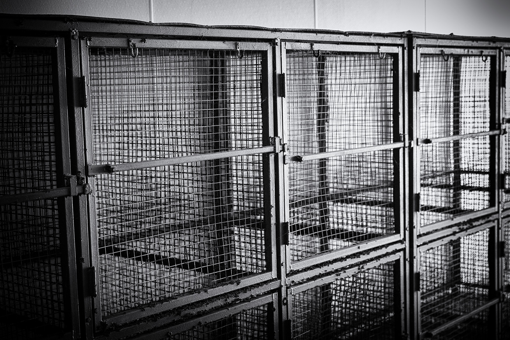 Empty cages are a reminder of a past era of animal sports.