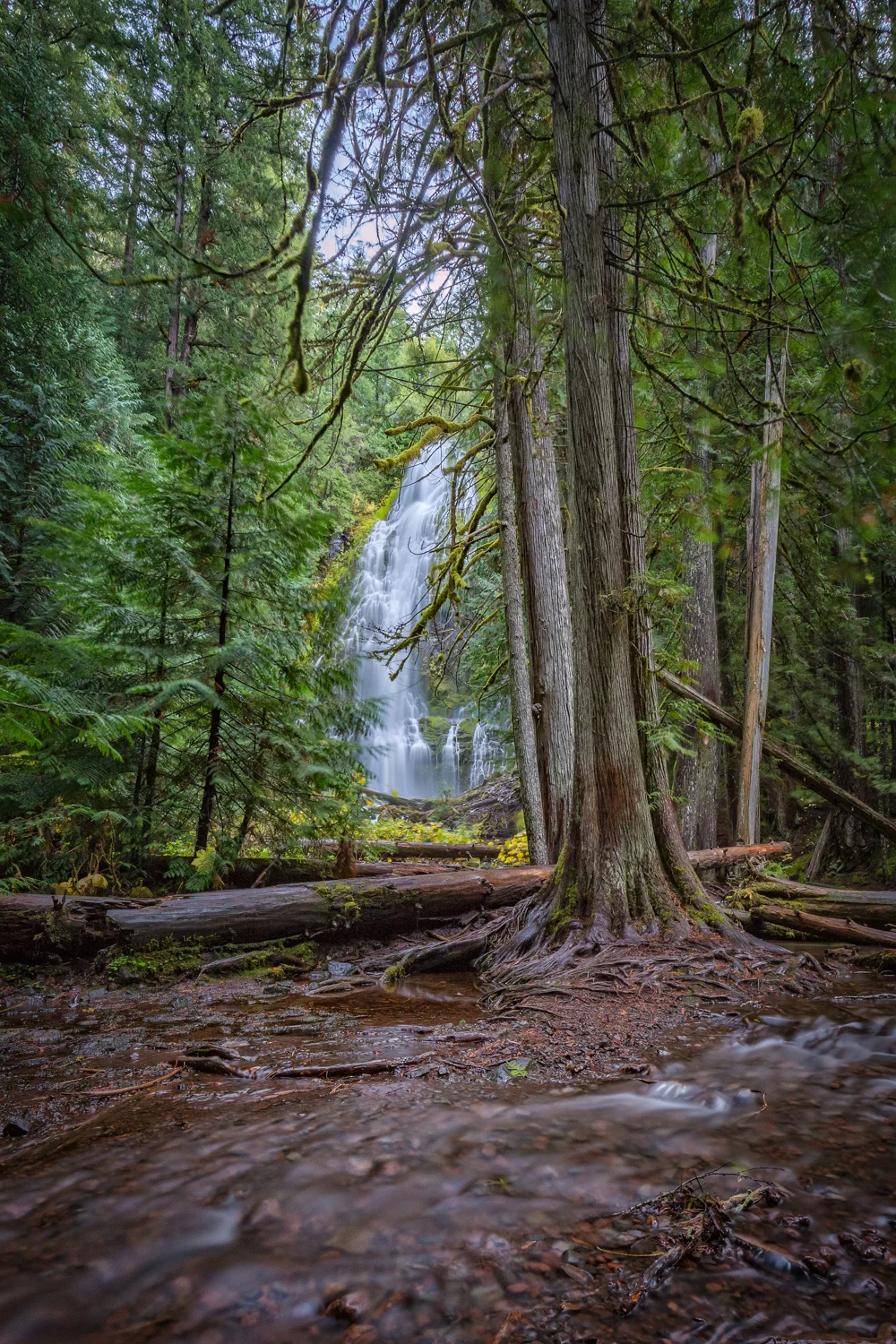 Lower Proxy Falls