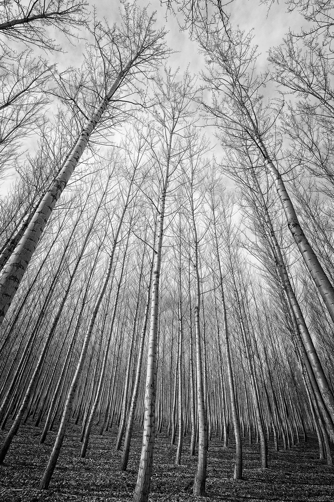 6D - 16mm - f16 - 1/200 - ISO 100