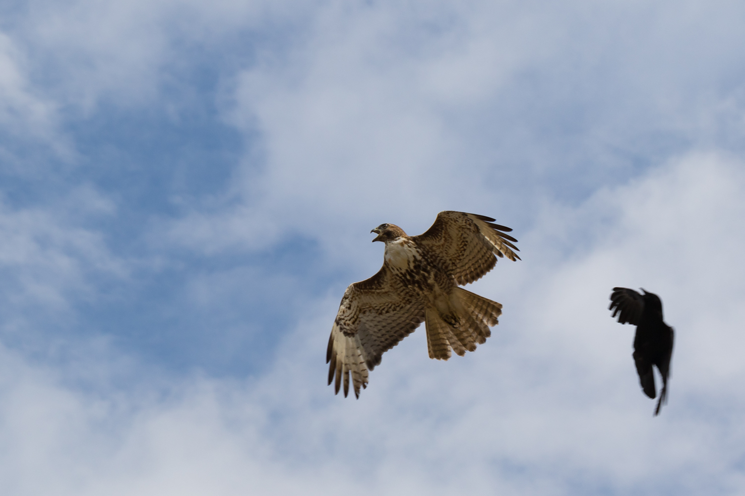 7D2 - 100mm - f8 - 1/800 - ISO 100