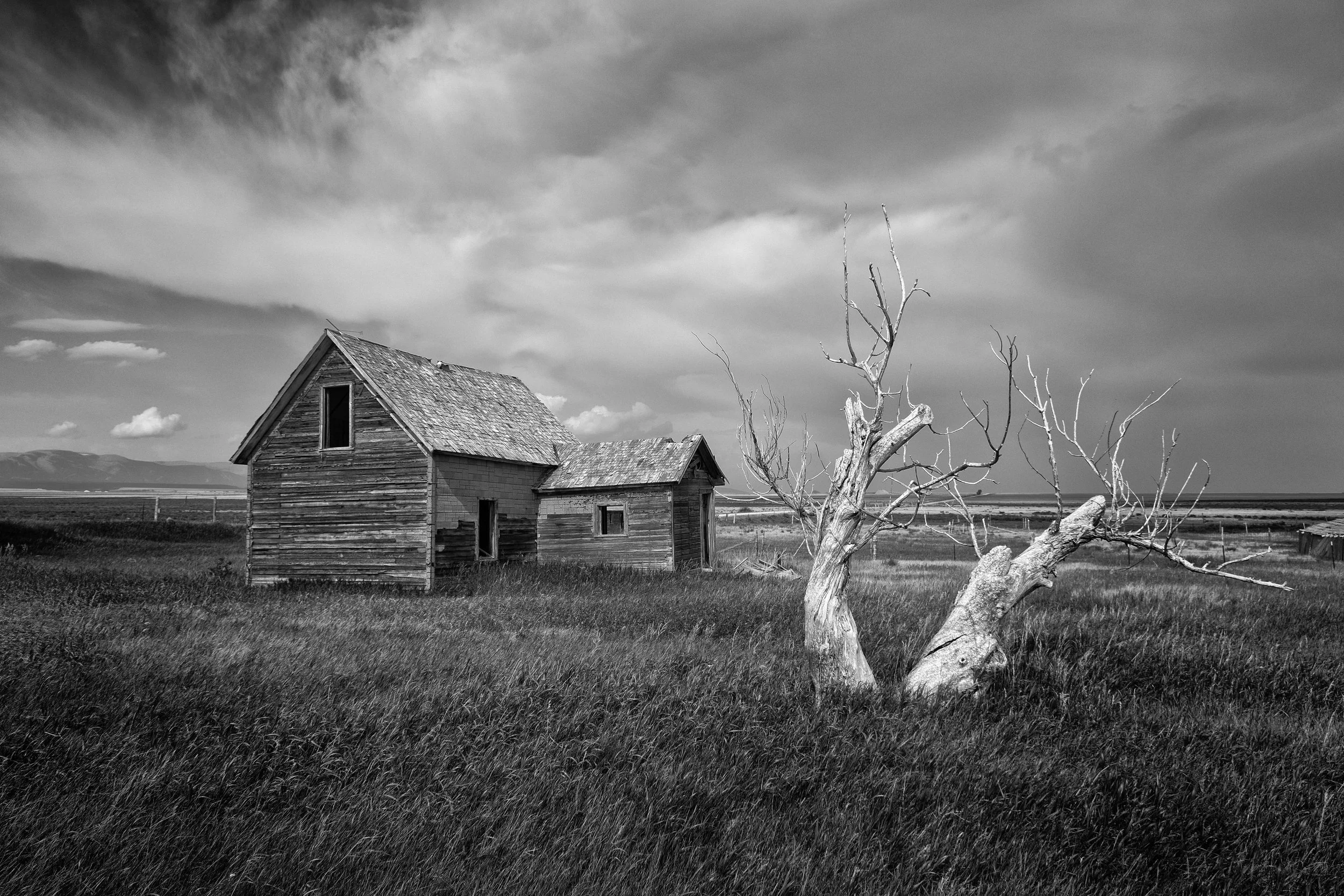 Homestead