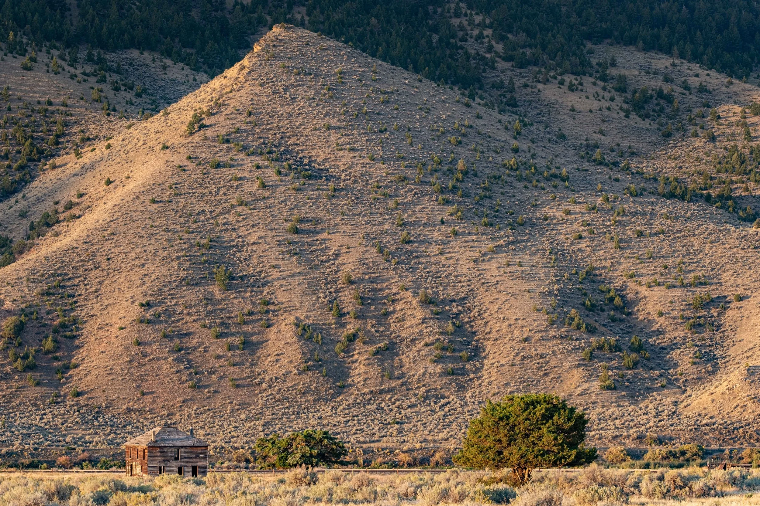 Sunrise on the Homestead