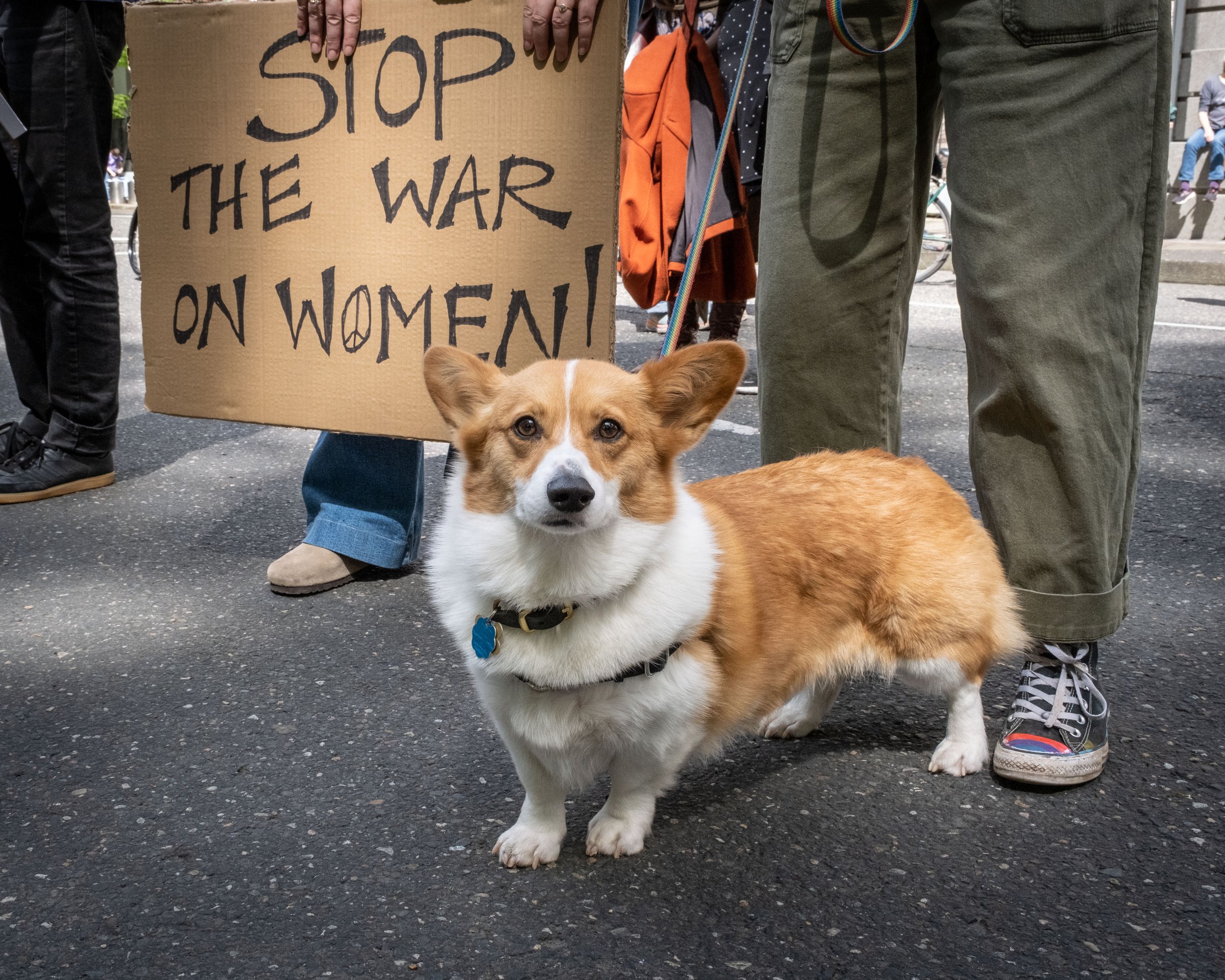 Stop the War