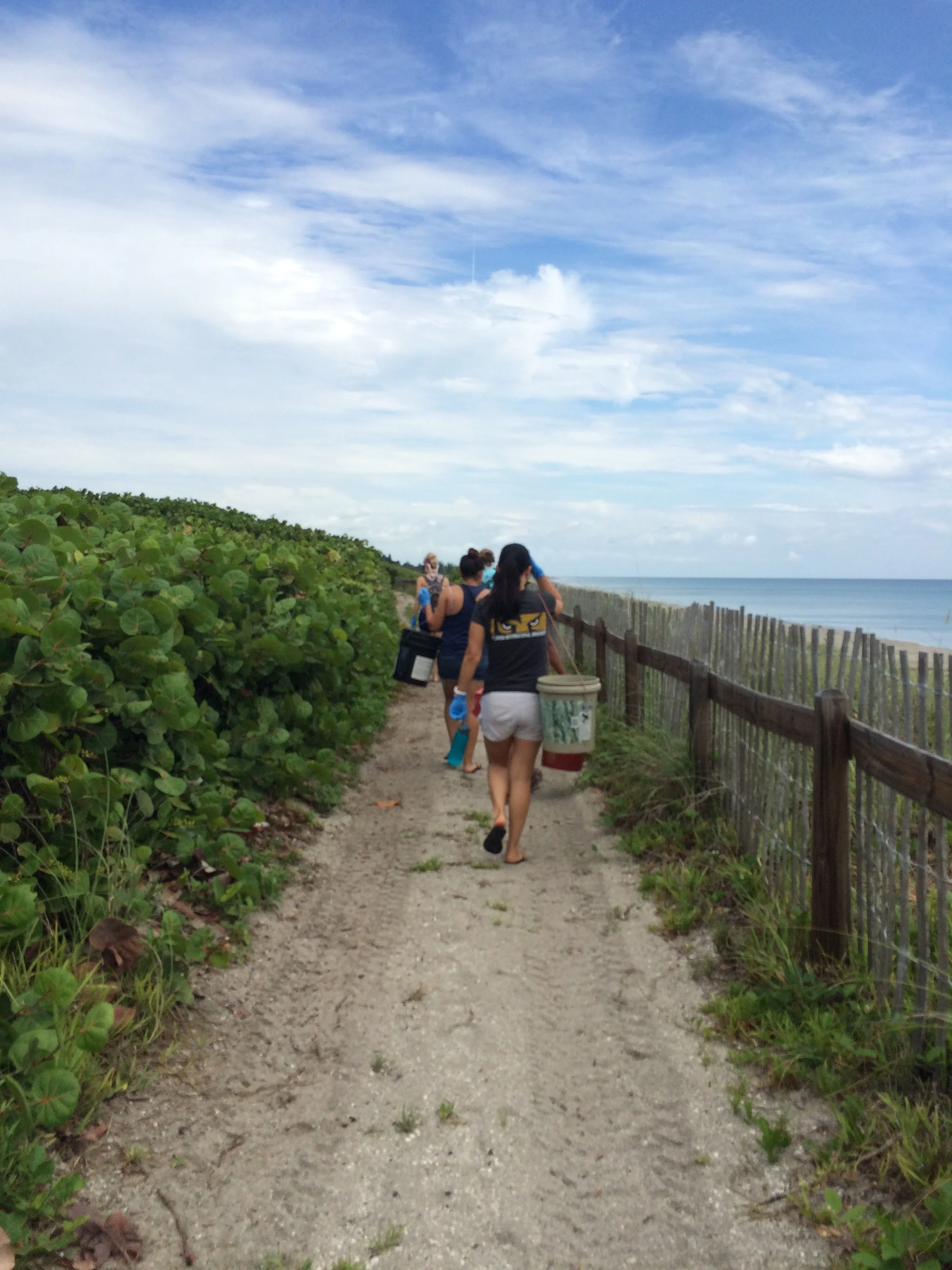 2015 Annual Beach Cleanup