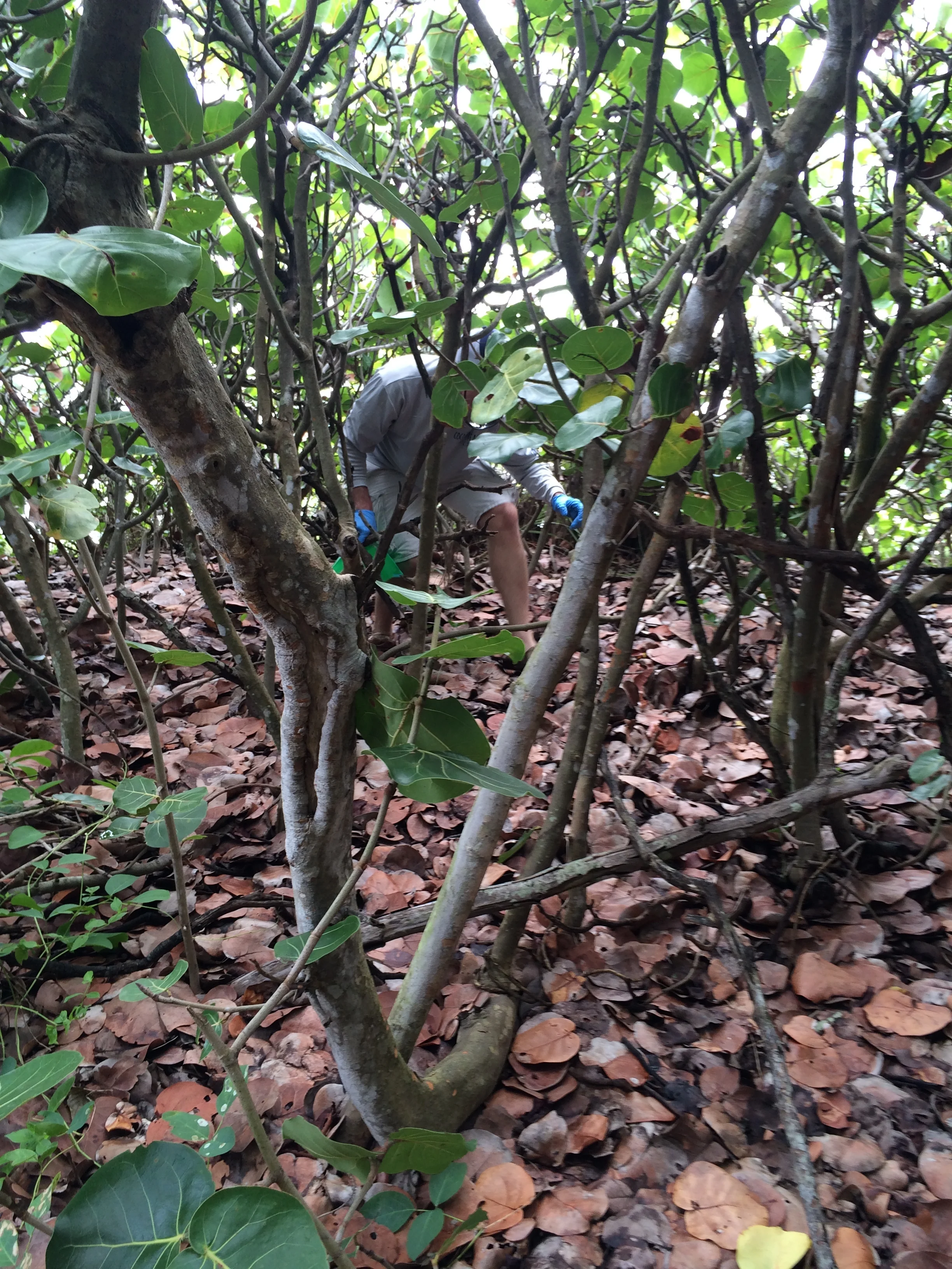 2015 Annual Beach Cleanup
