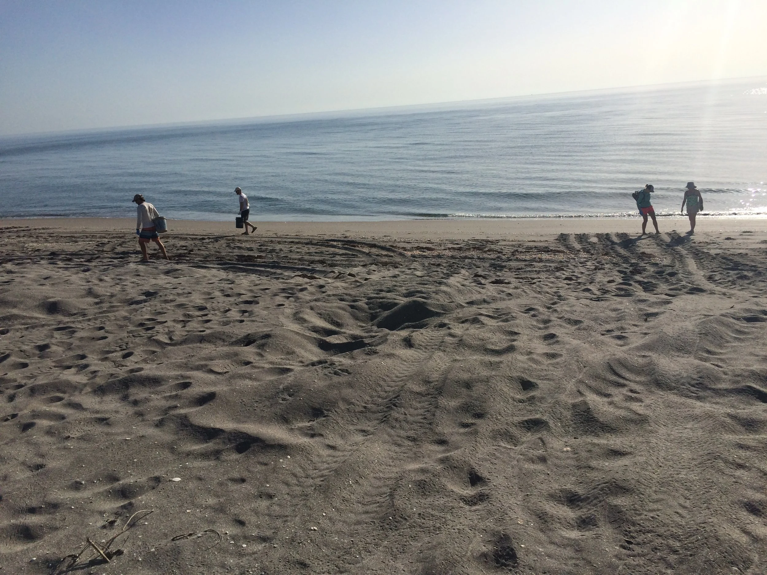 2016 Annual Beach Clean Up