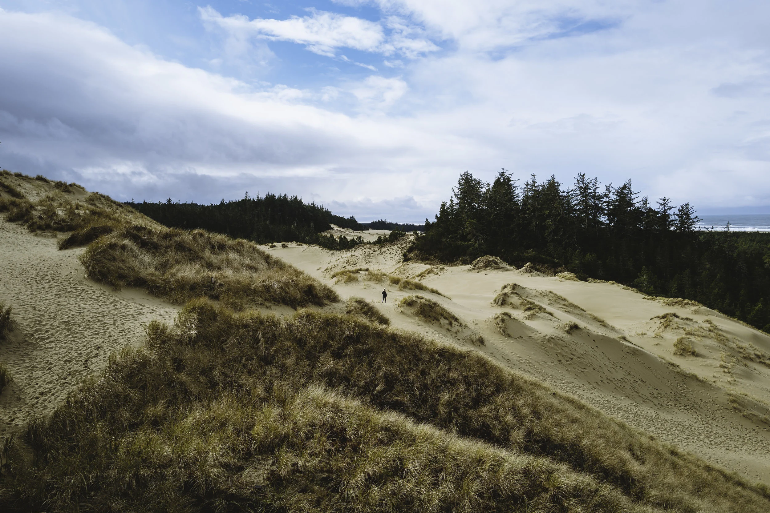 Larissa on the dunes