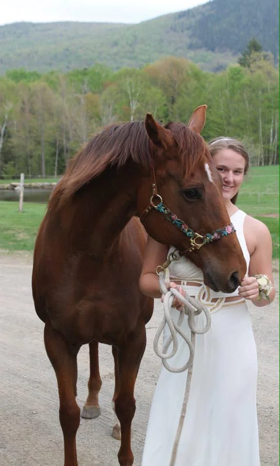 Flower Halter on horse client photo.jpg