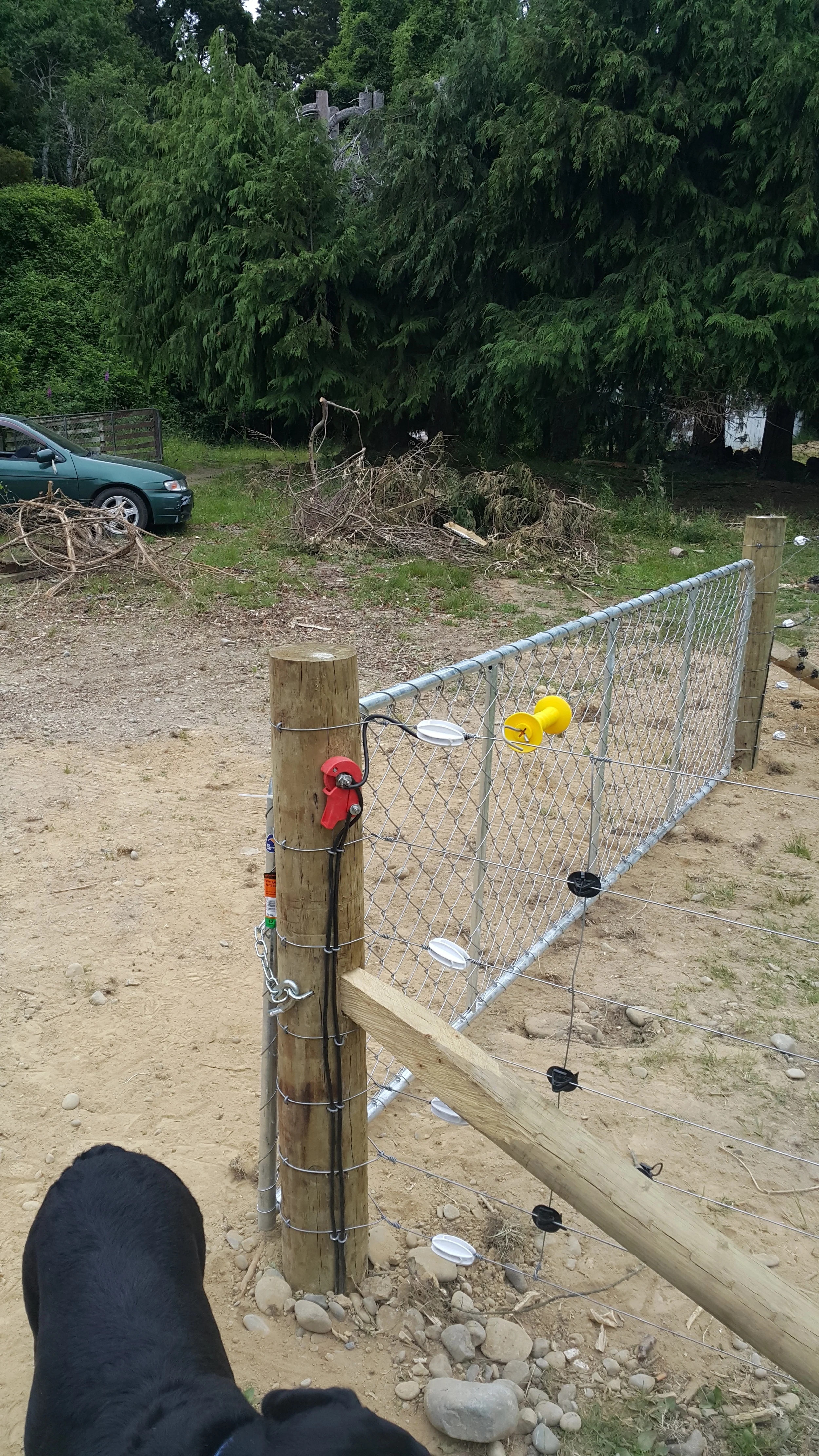 20141208_185515 (1).jpg