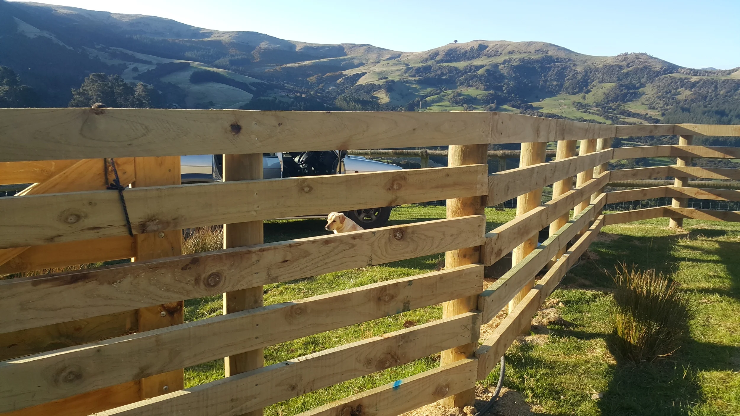 20150918_164322 (1).jpg