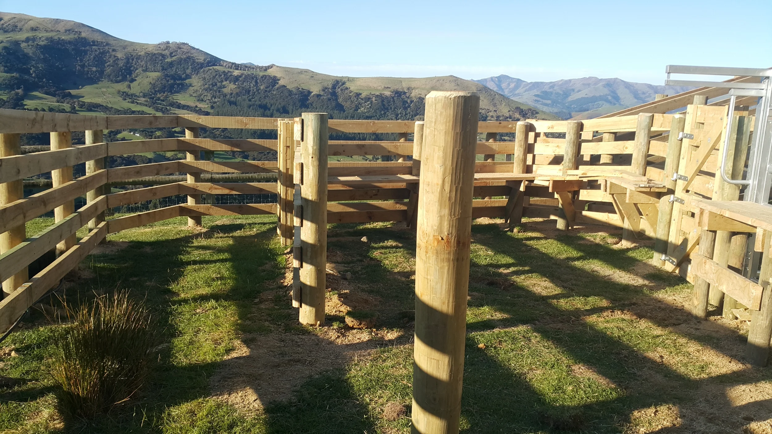 20150918_164325 (1).jpg