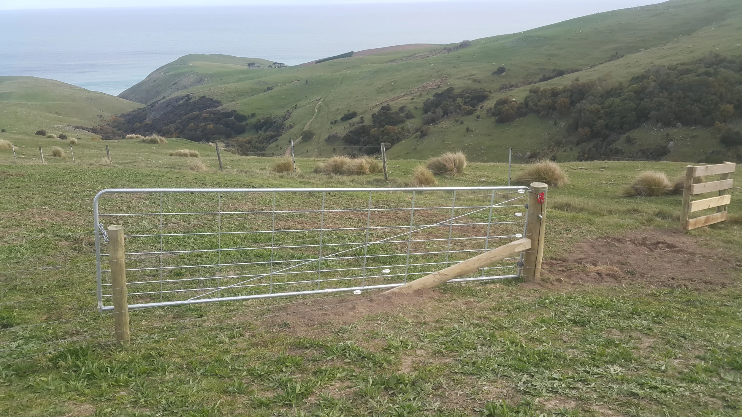 20151002_174817 (1).jpg