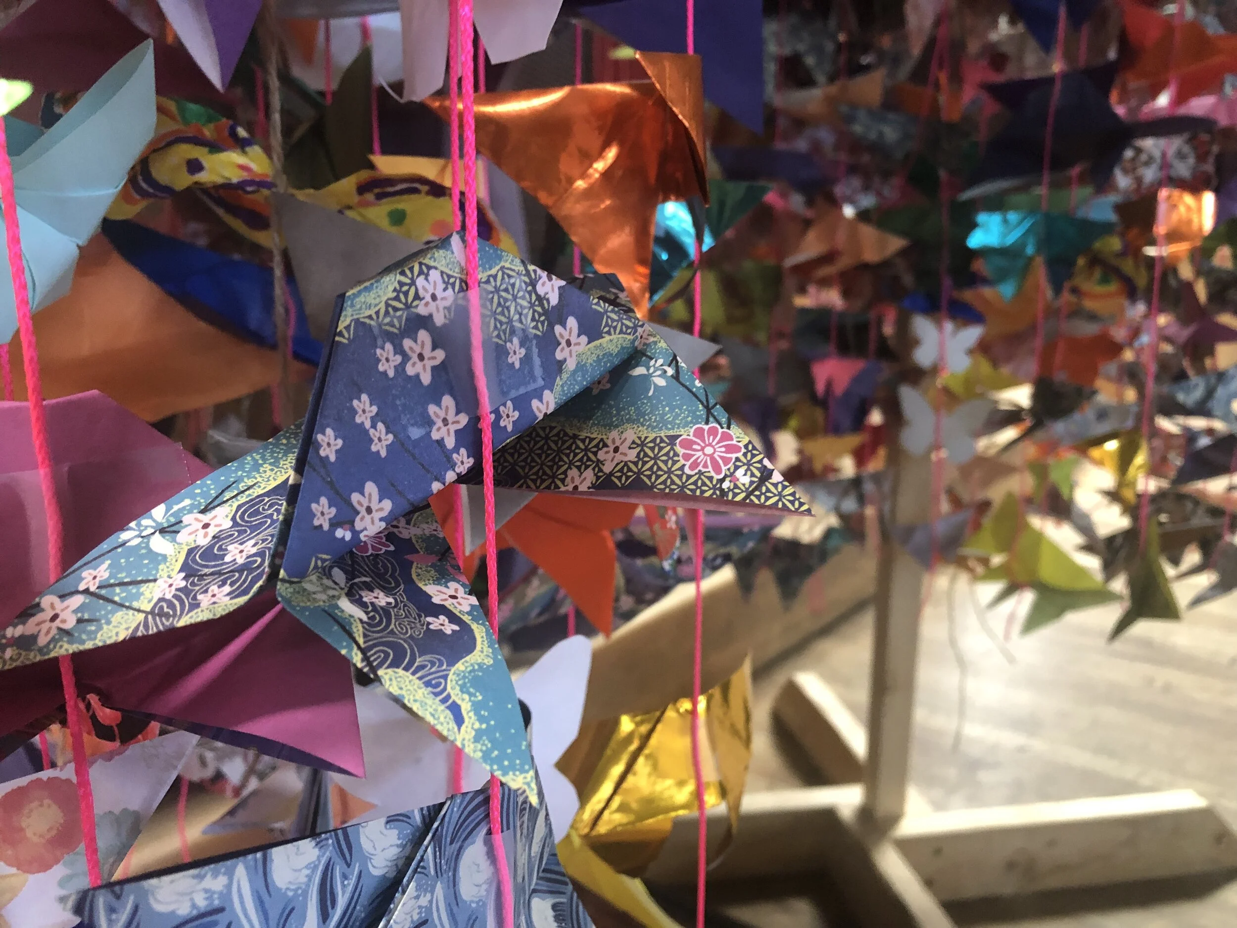 Butterfly Effect: Migration is beautiful