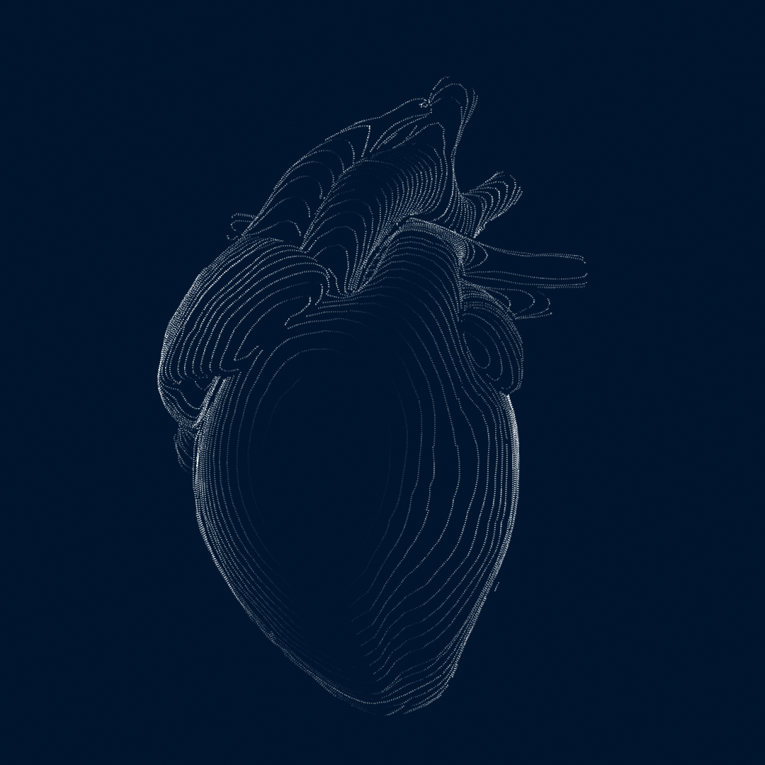 GoodCell 3D Heart toon shader 03.png