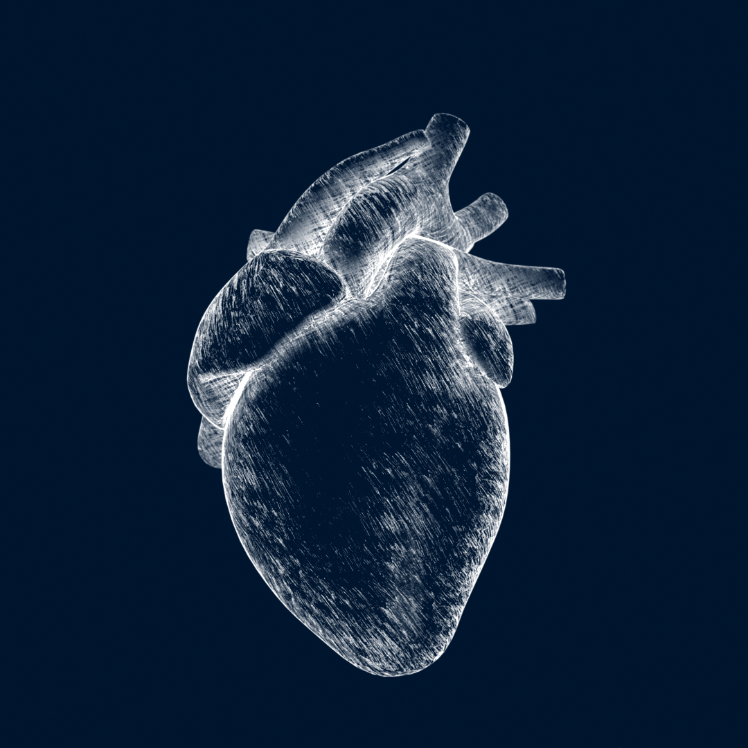 GoodCell 3D Heart toon shader 02.png