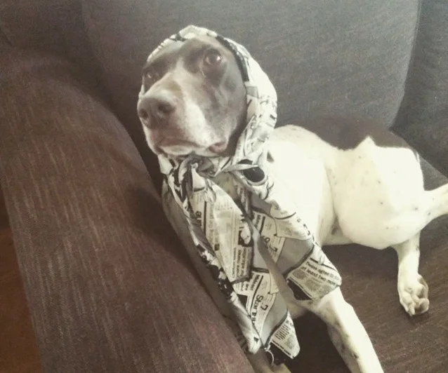 babuska.jpg