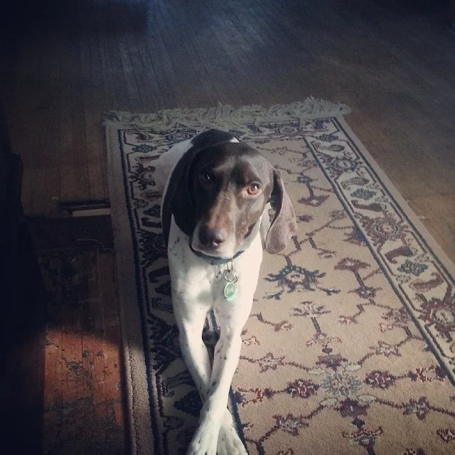 Saint Joey of Turner County