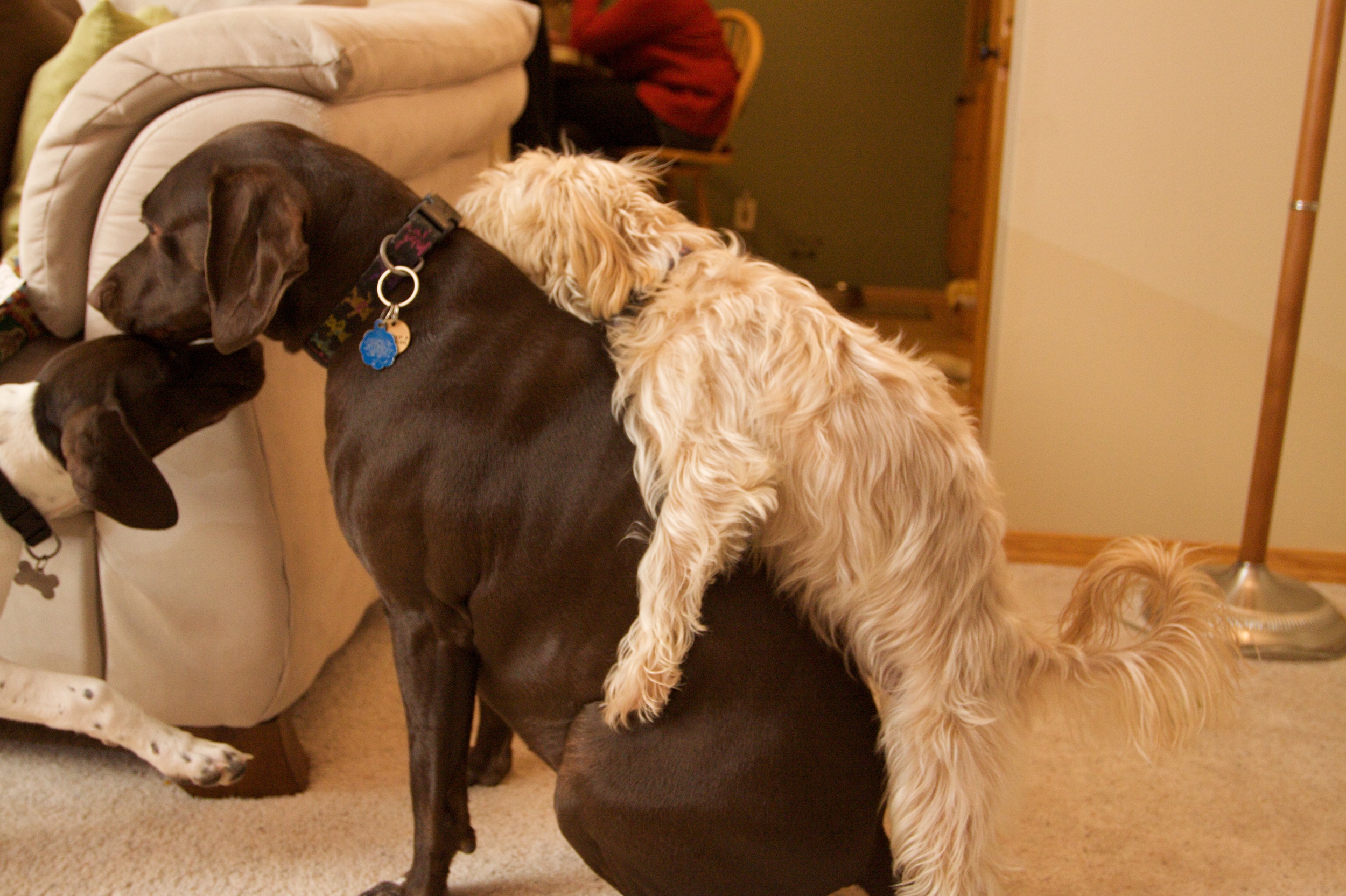 Alli is quite popular with the gents.