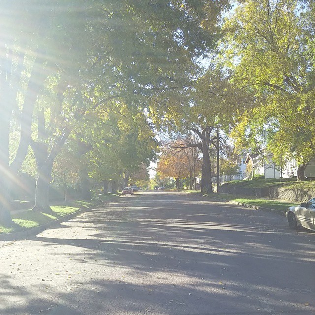 All good in this hood.
