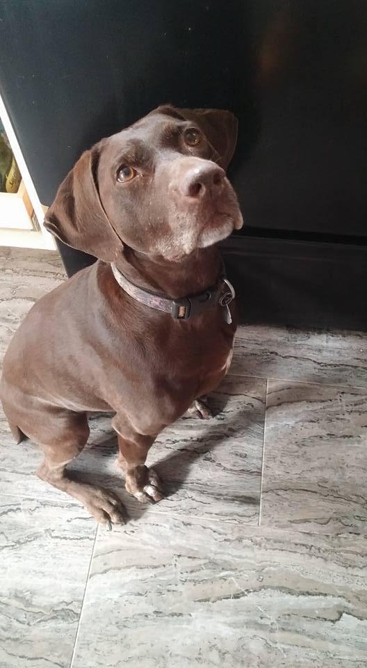 Always the eyes, this one. My love.