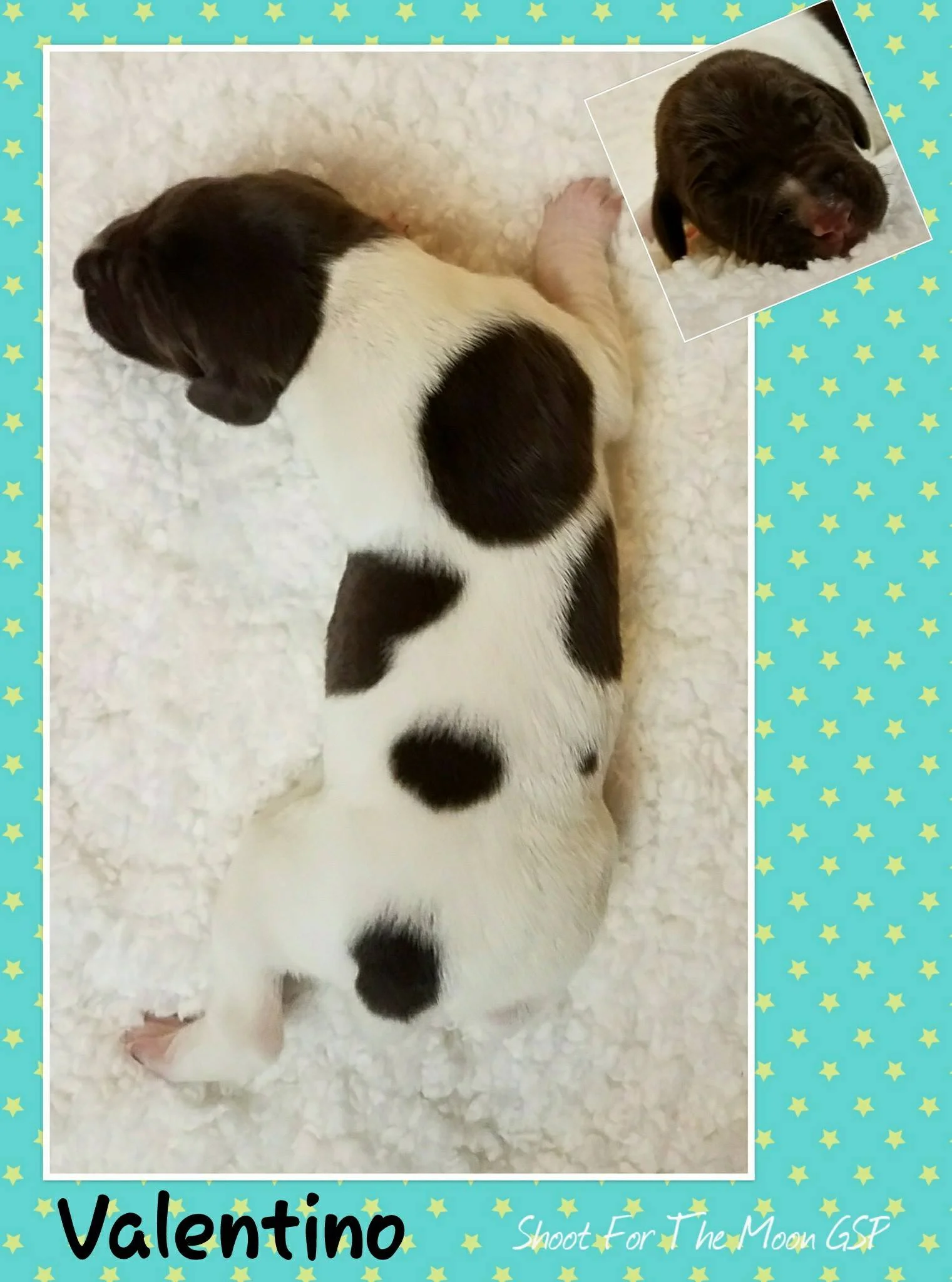 Vonn Baby 02.18.18.jpg