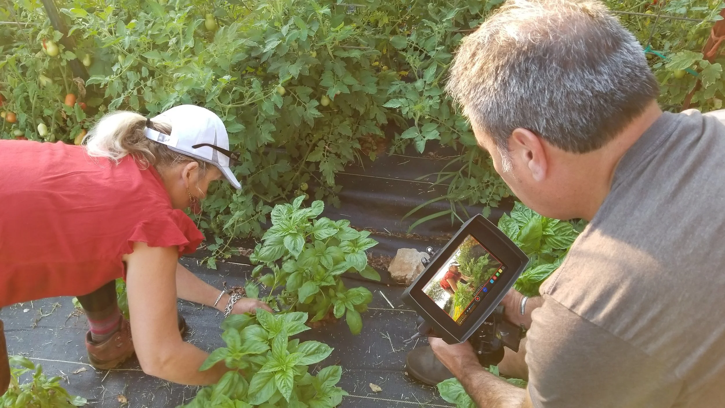 Riparian Studios tackles 2018 film for non-profit Sierra Harvest