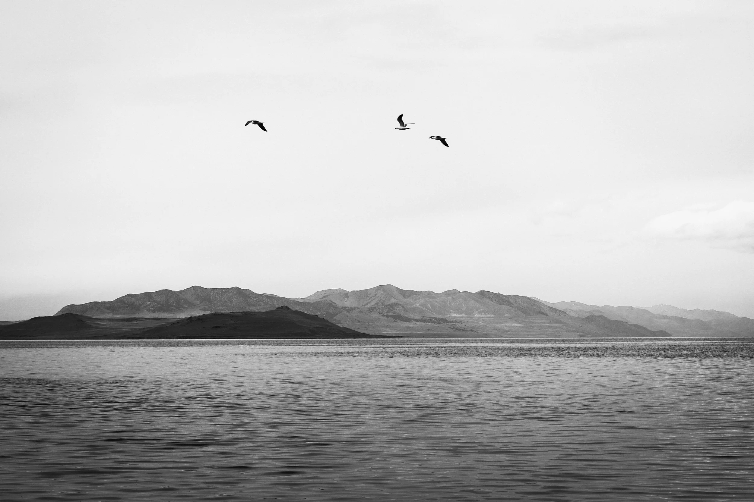 America-BW-26.jpg