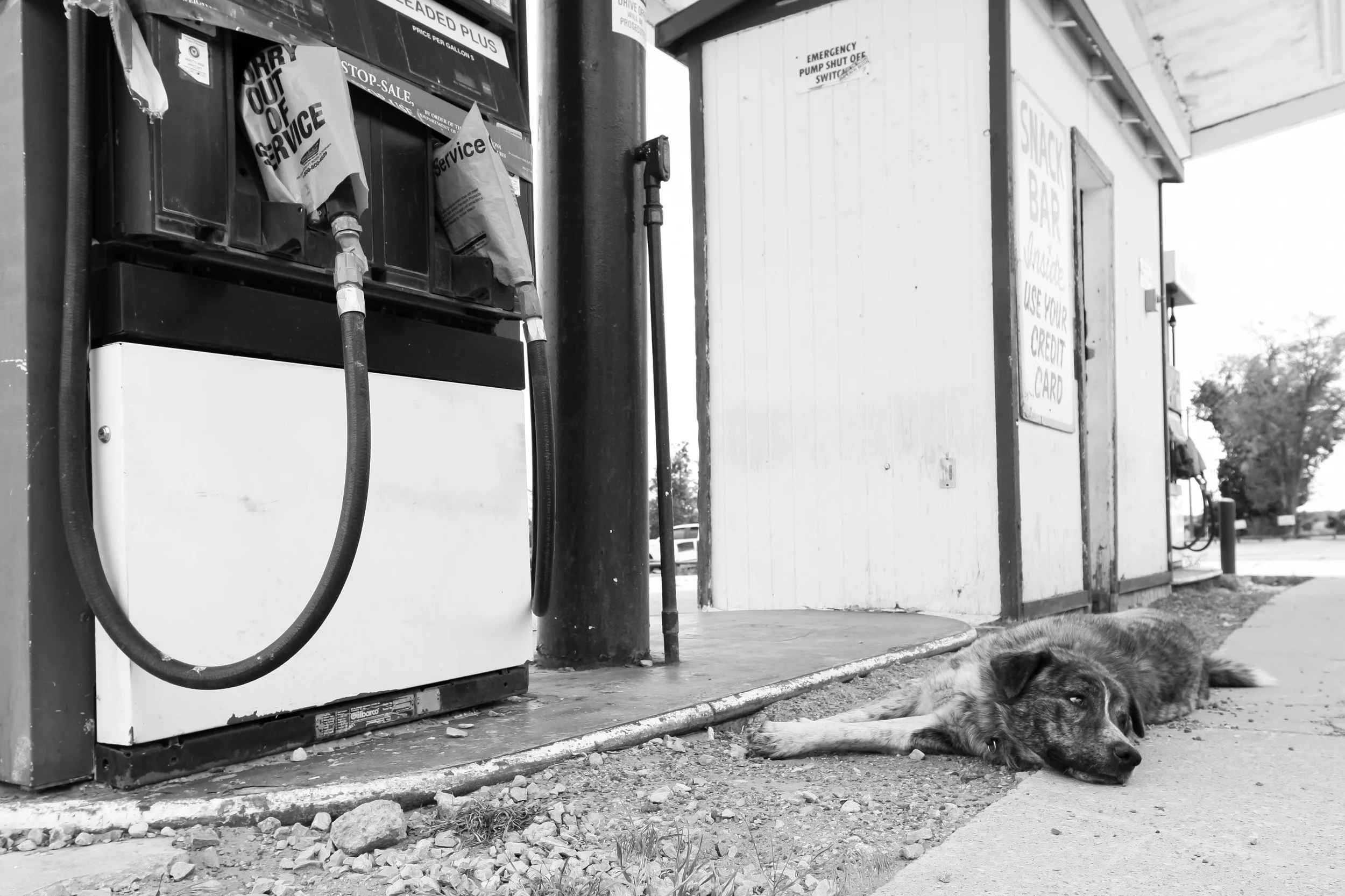 America-BW-29.jpg