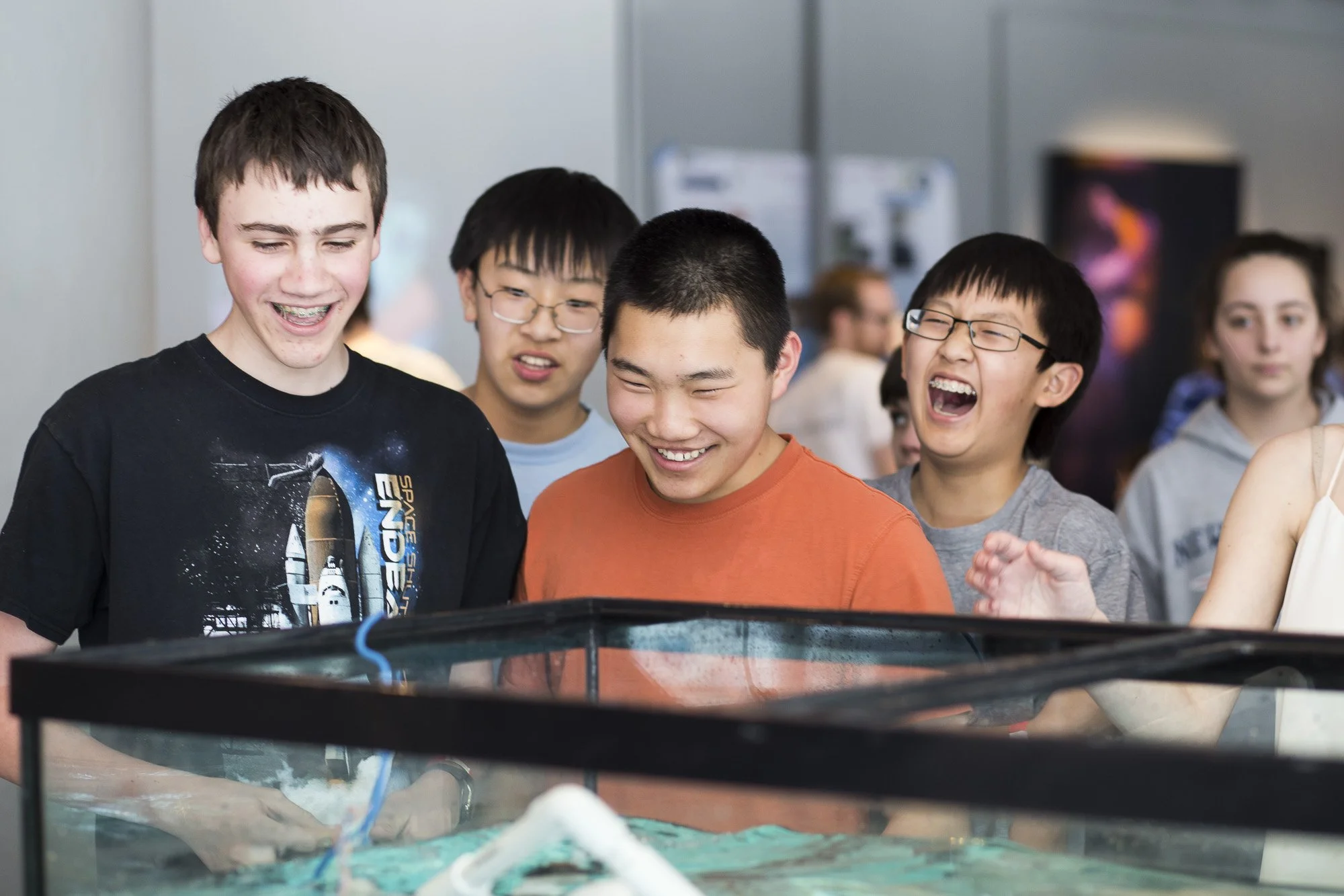 SV-EDU-WEB-72.jpg