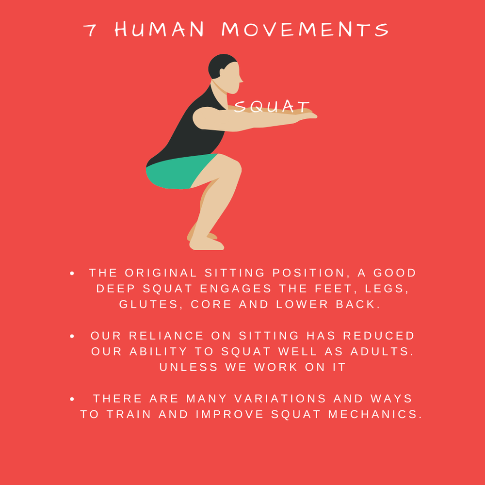 #2 Squat.png