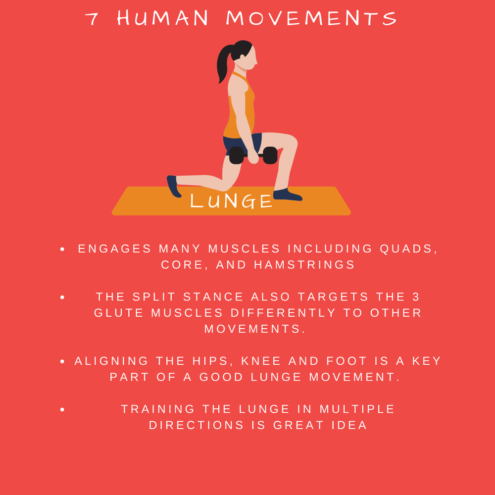 #6 Lunge.png
