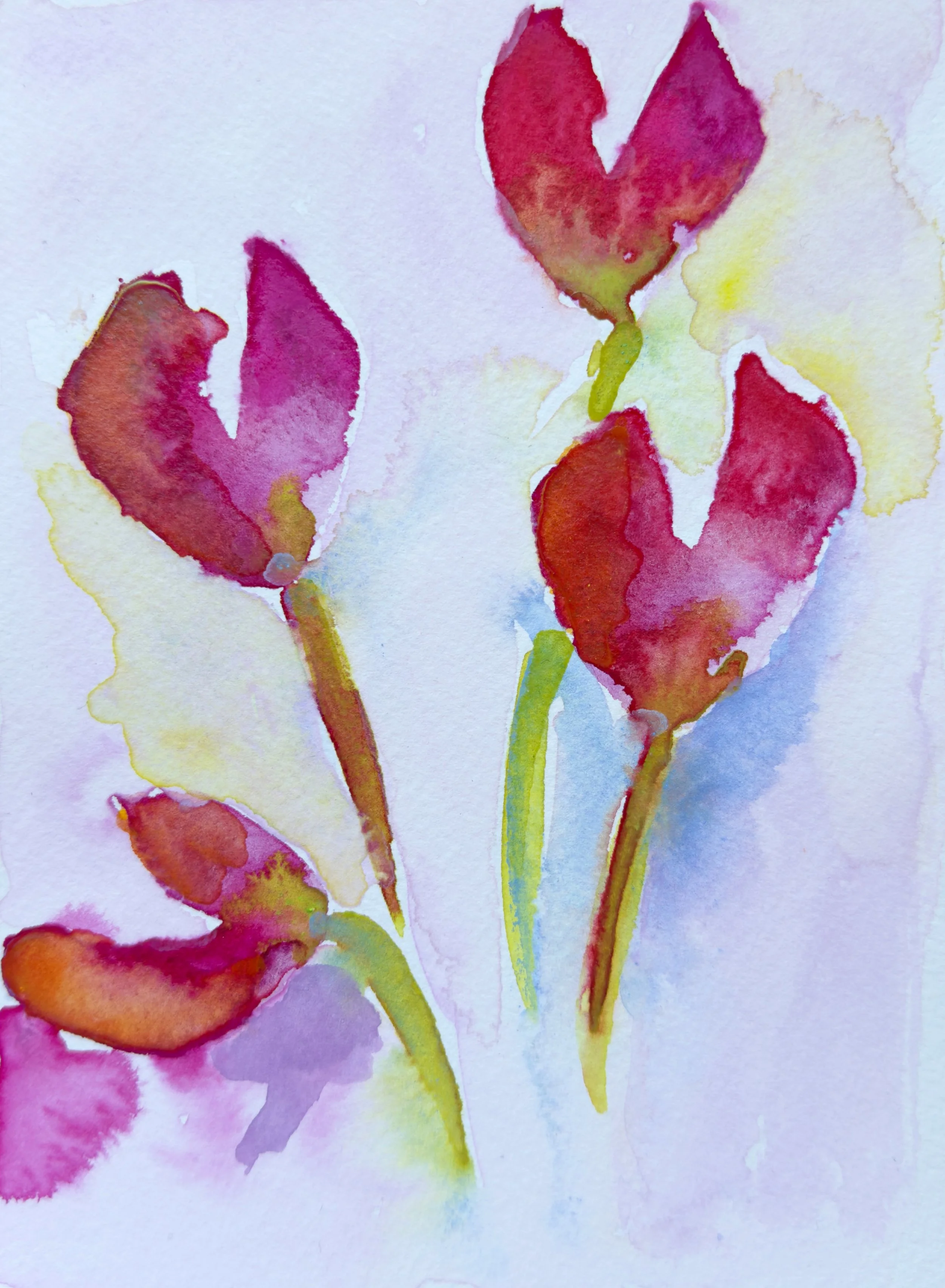 image 28.jpg