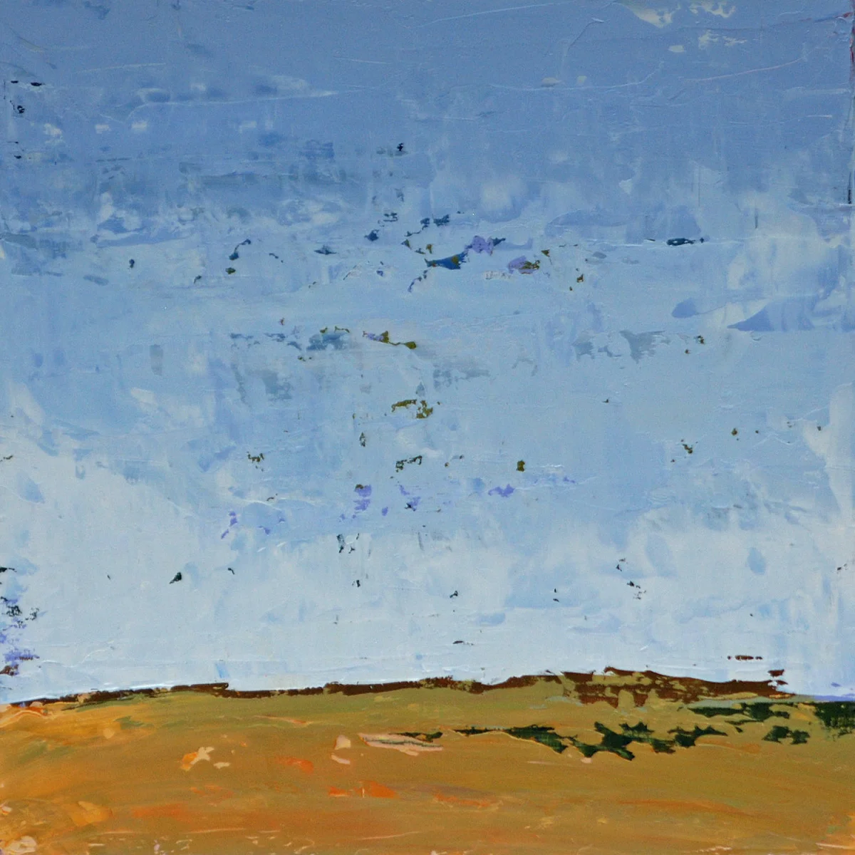 a field at st. timothy's, 1 (Copy)