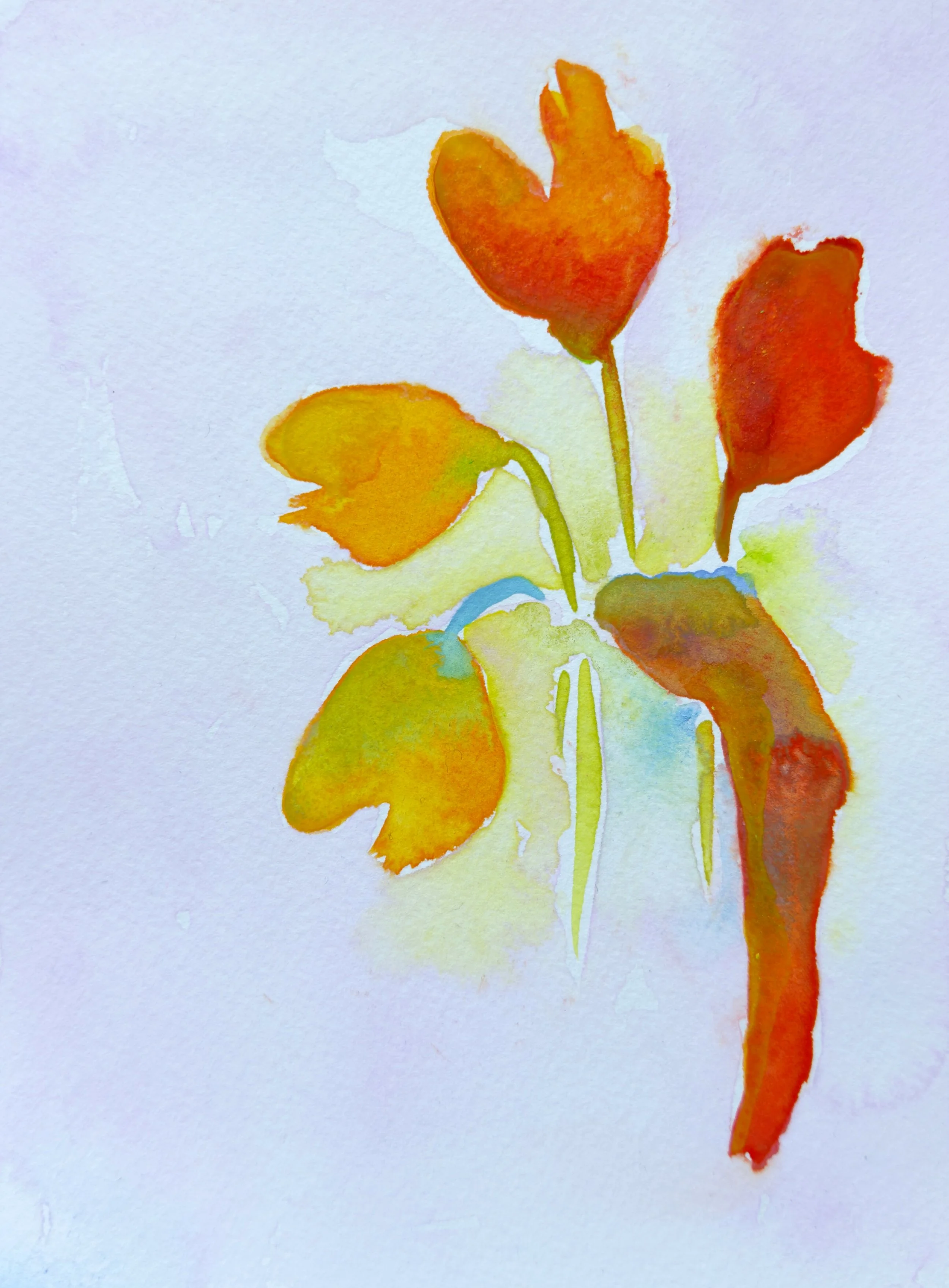 image 25.jpg