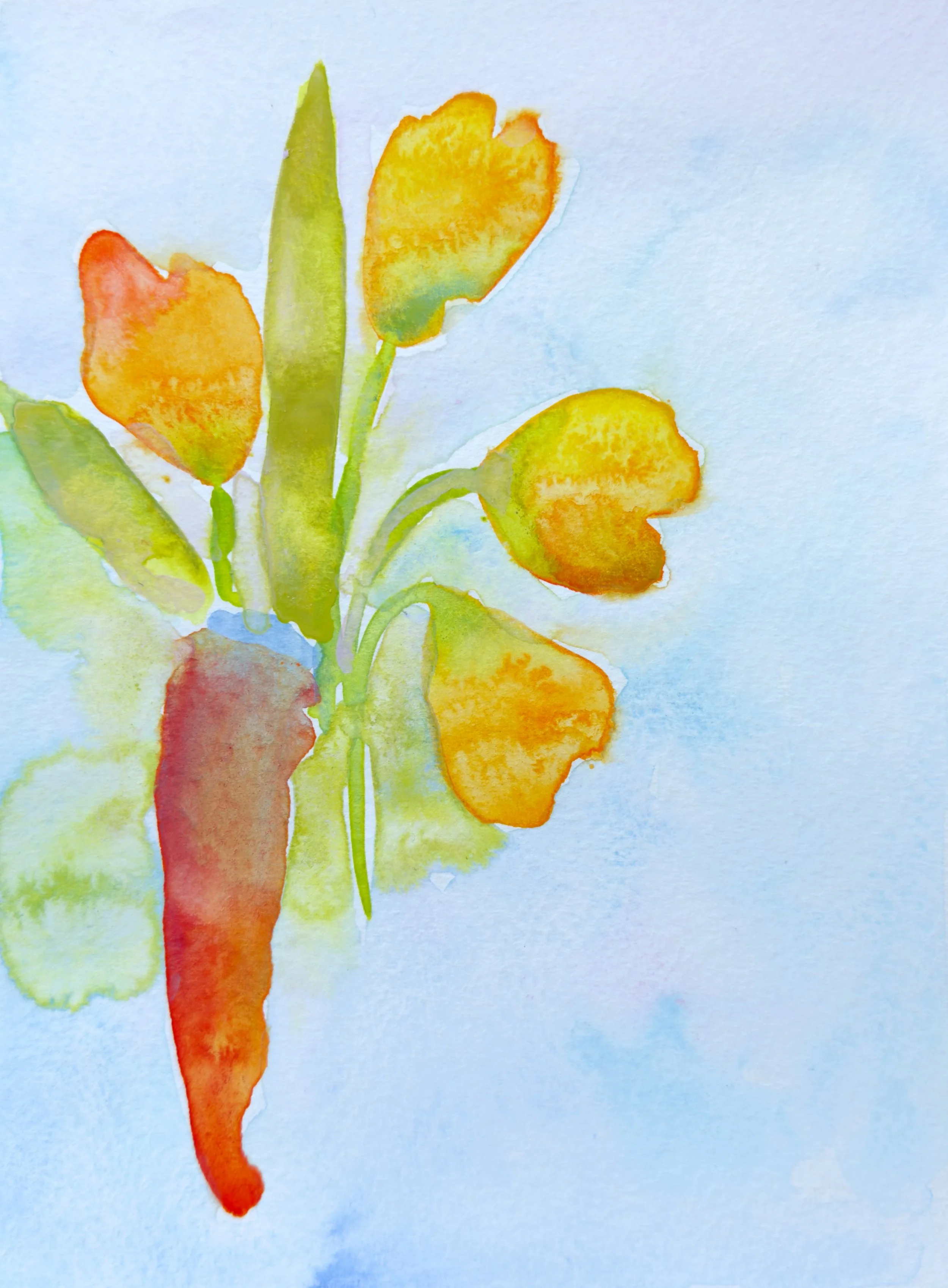 image 24.jpg
