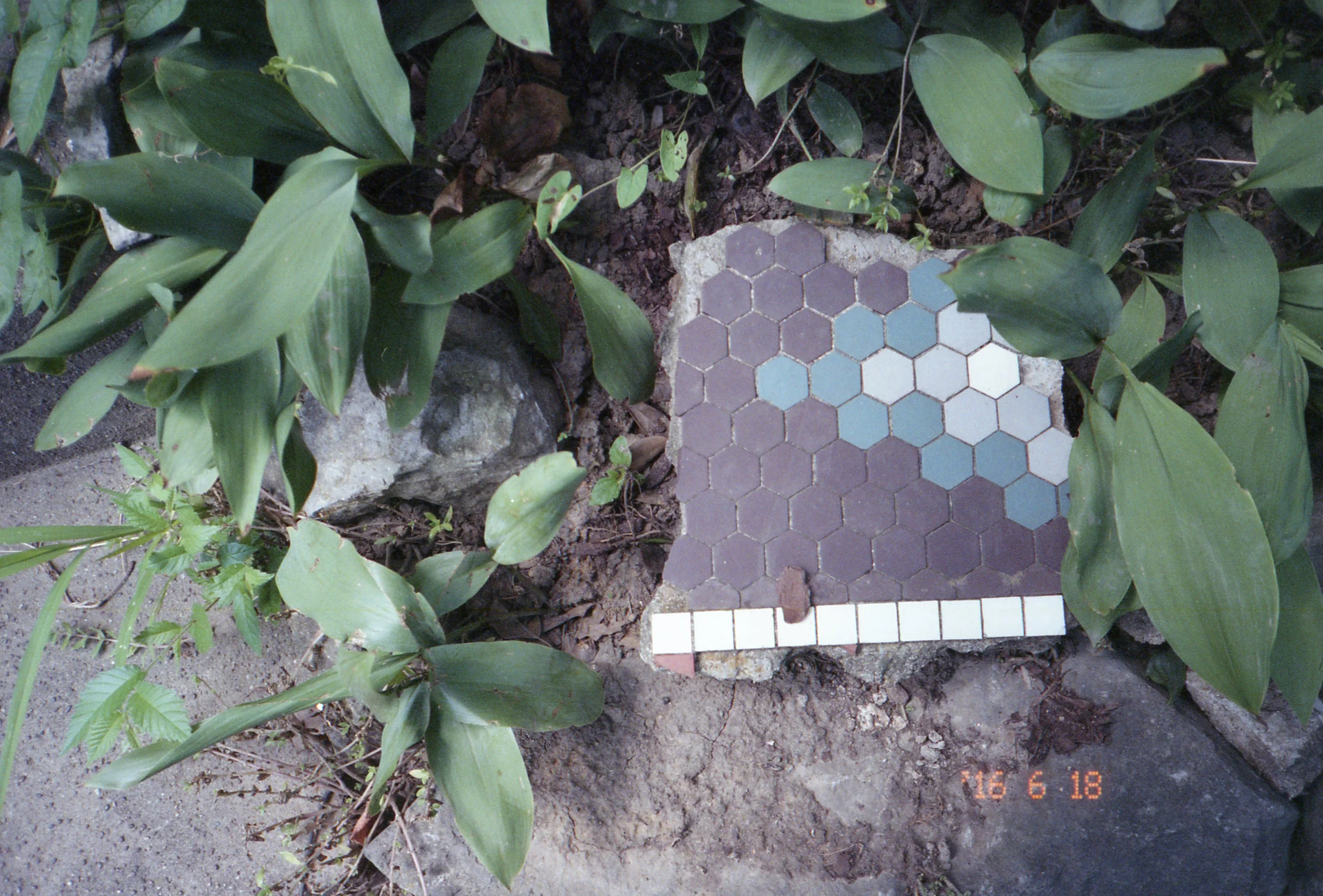 uc1_0001.jpg
