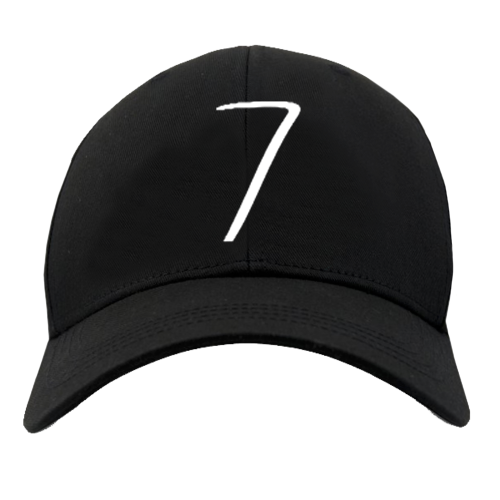 seviin hat 4 png .png