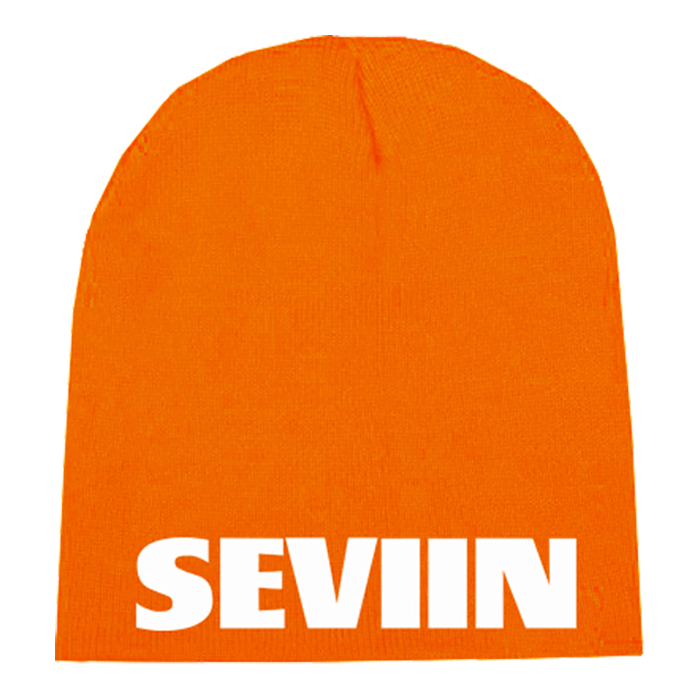 SEVIIN ROYGBIV BEANIE 1.png