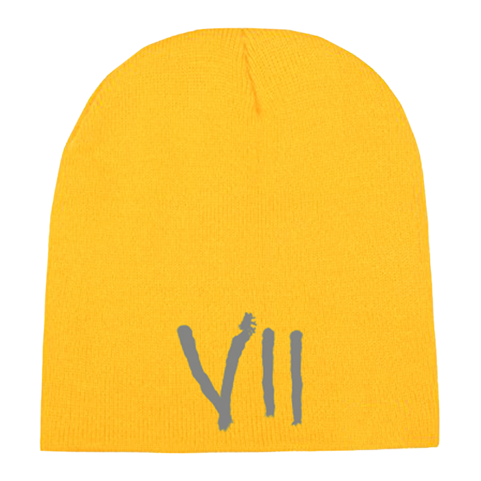 SEVIIN SUNNI BEANIE YELLOW.png