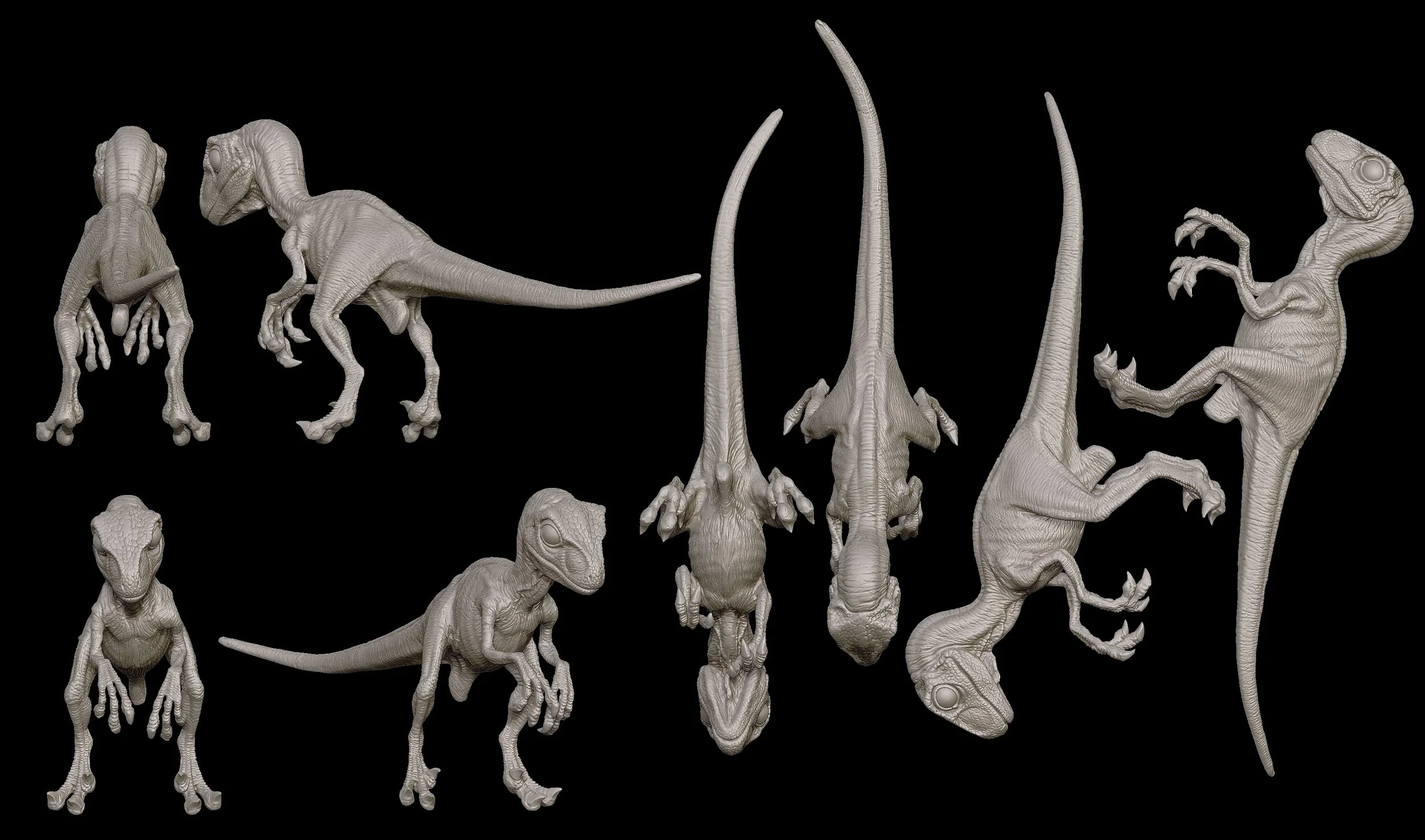 Baby_raptor_03.jpg