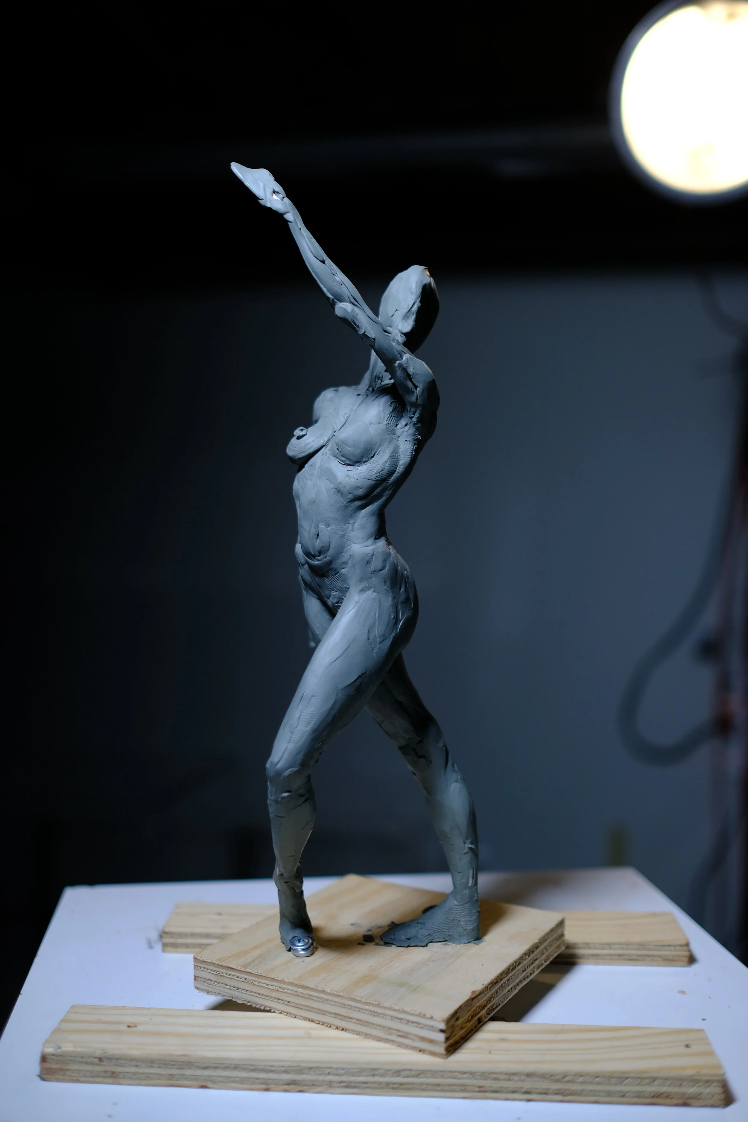 DSCF8336.JPG