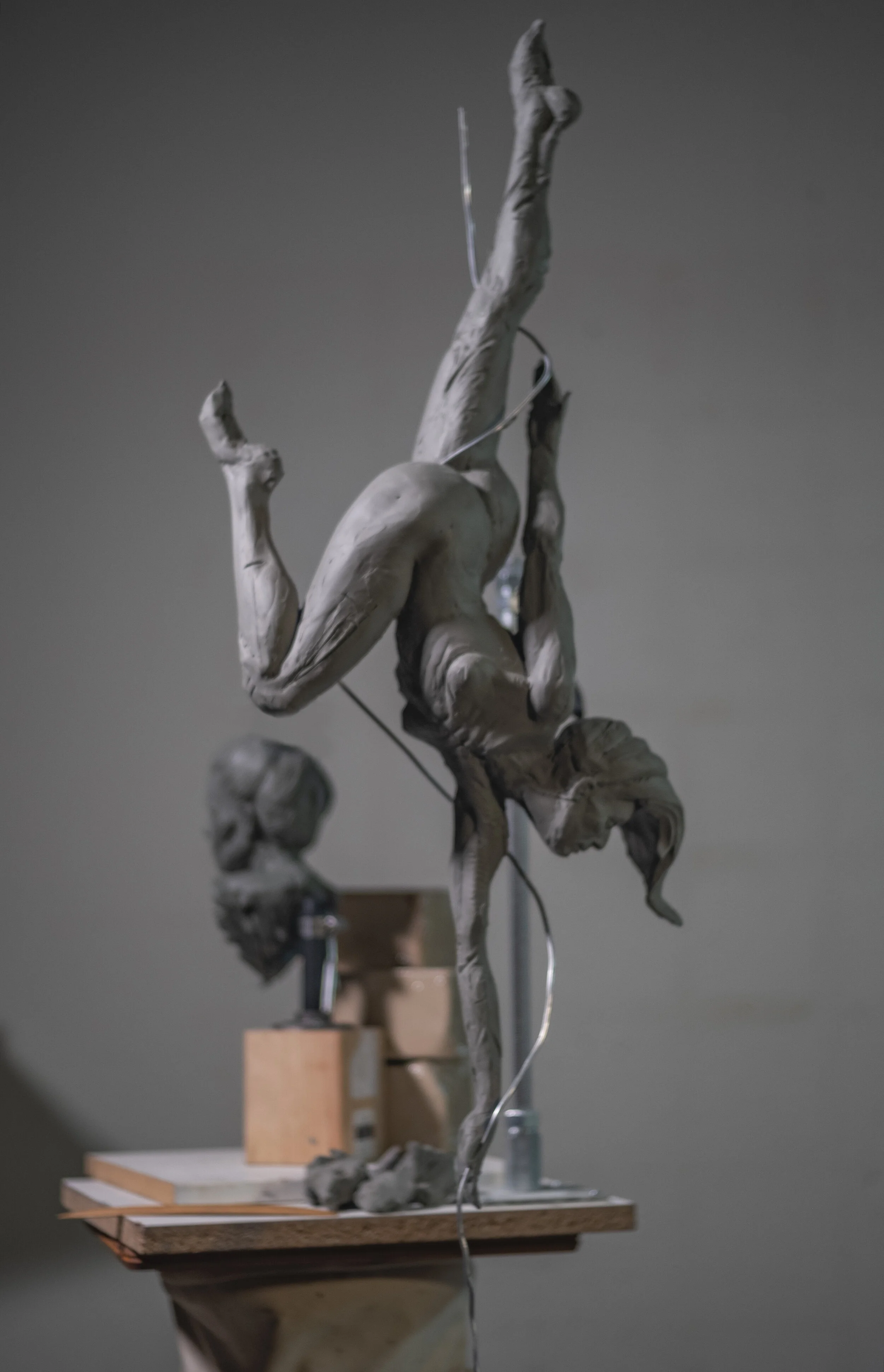 anatomytools_02.jpg