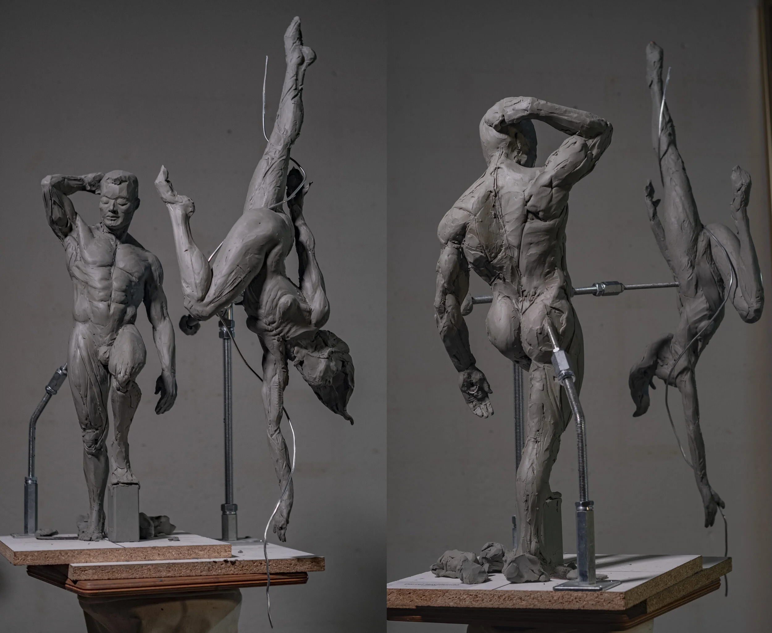 anatomytools_01.jpg