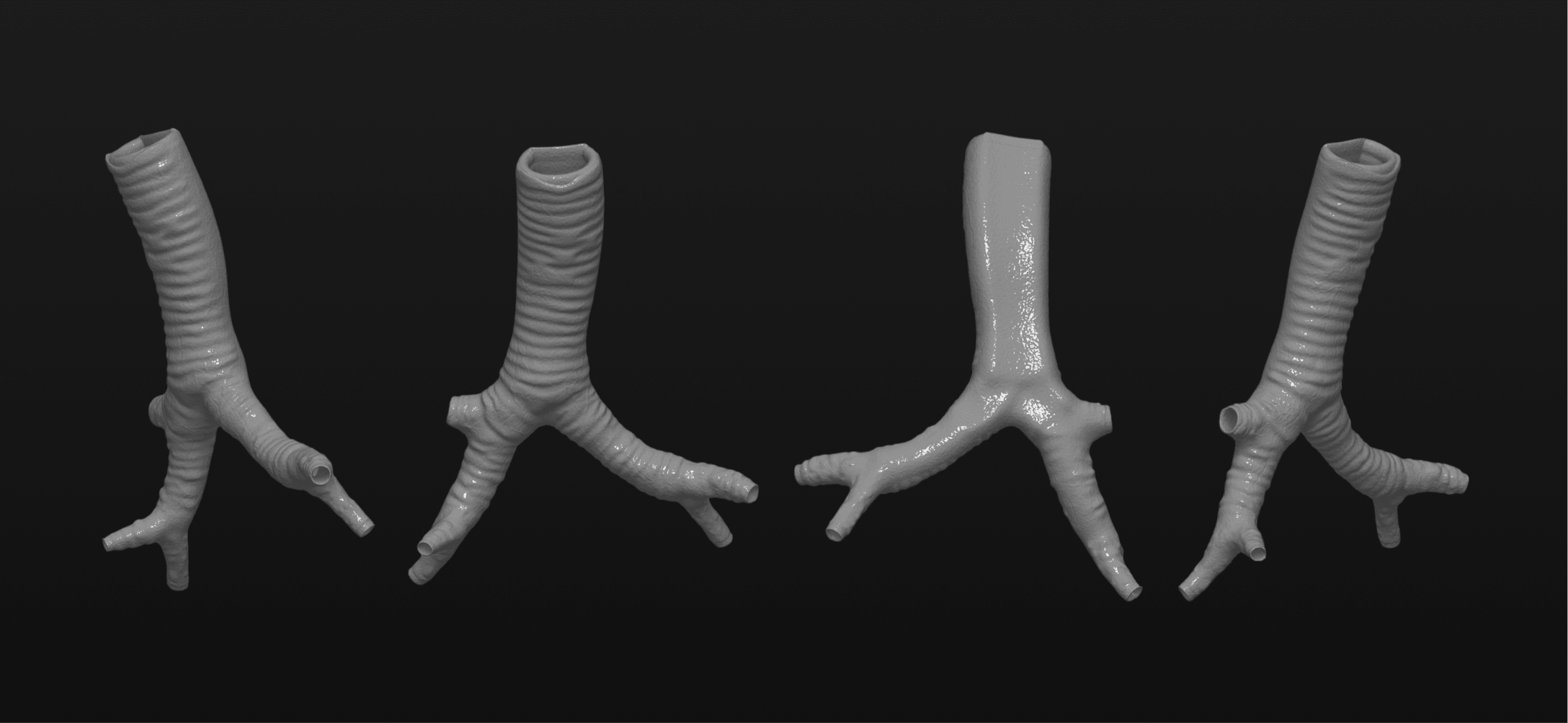 Black and white 360 angles of a 3D rendering of Trachea for 3D Print. 3D Systems in San Diego. LA Digital Sculptor and Artist.