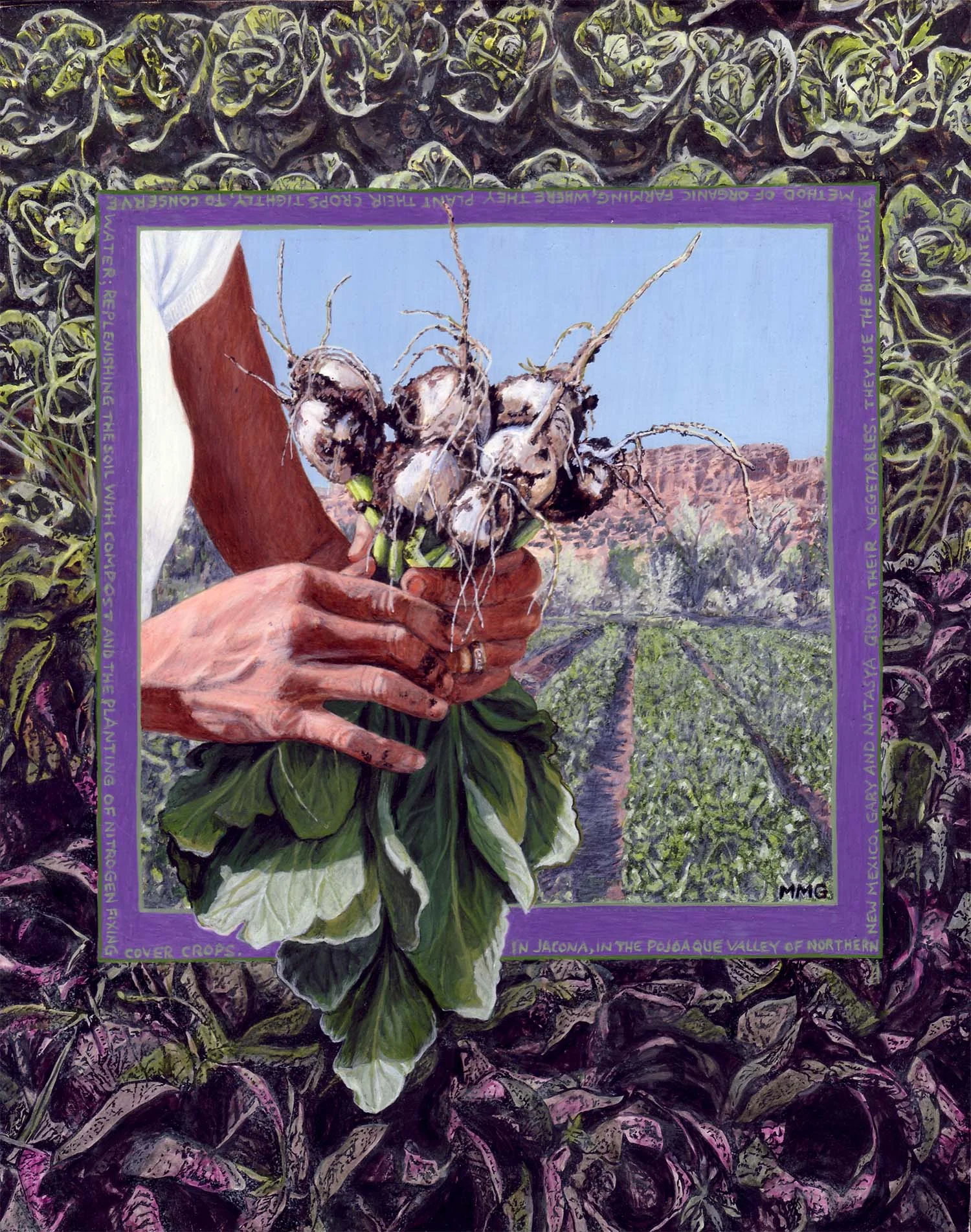 Turnips - 8" x 10"