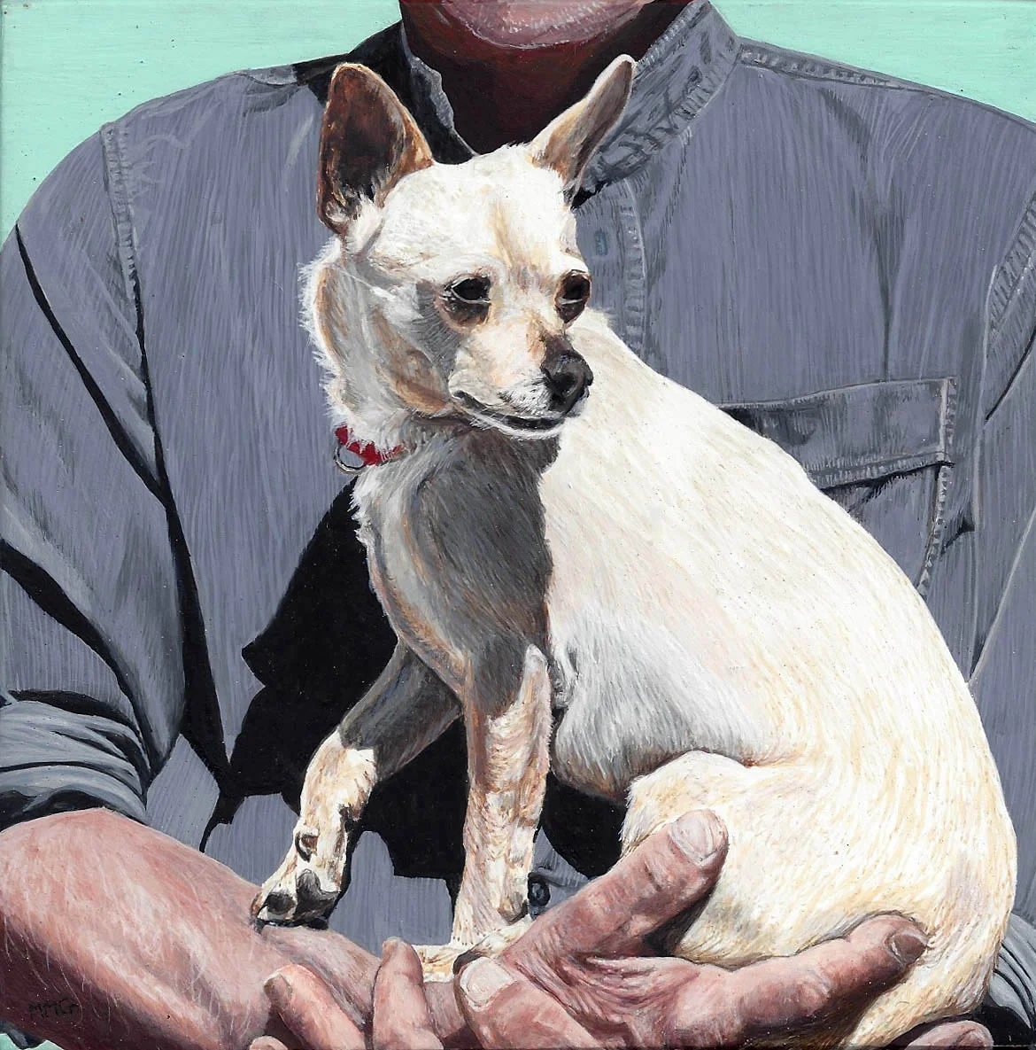 Maxie - 6" x 6"